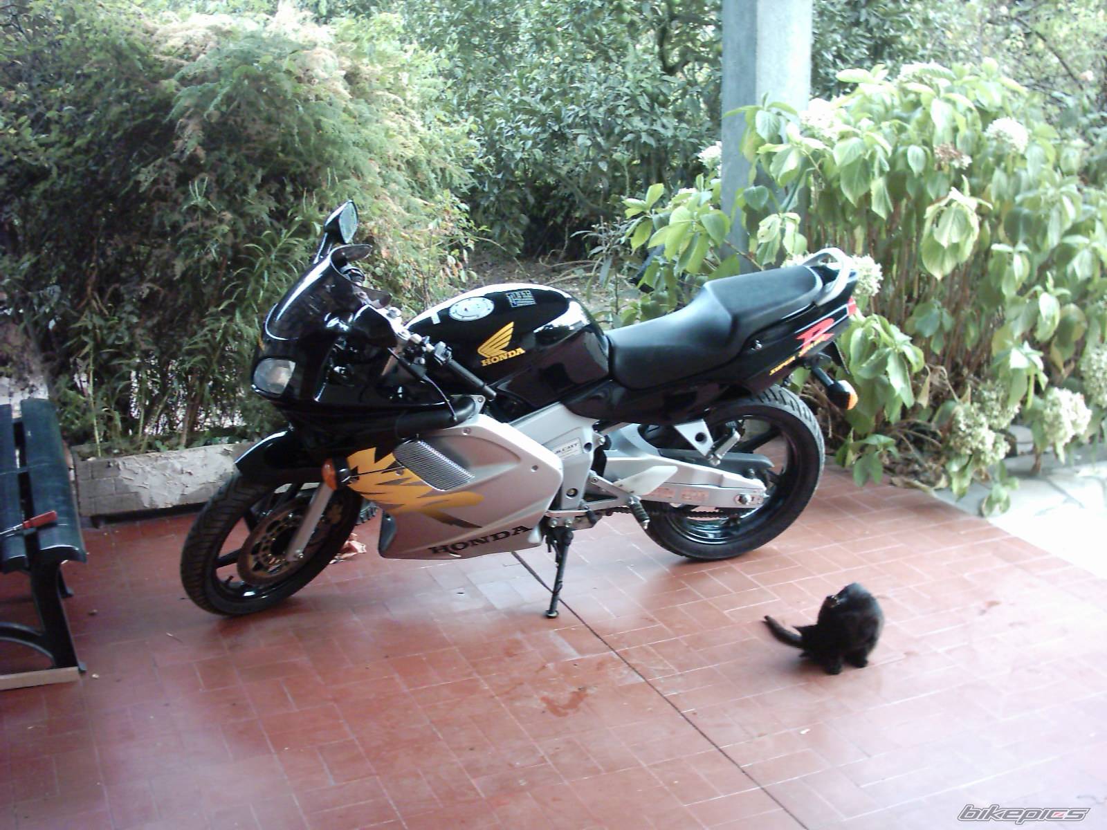 Bike Photo 245571