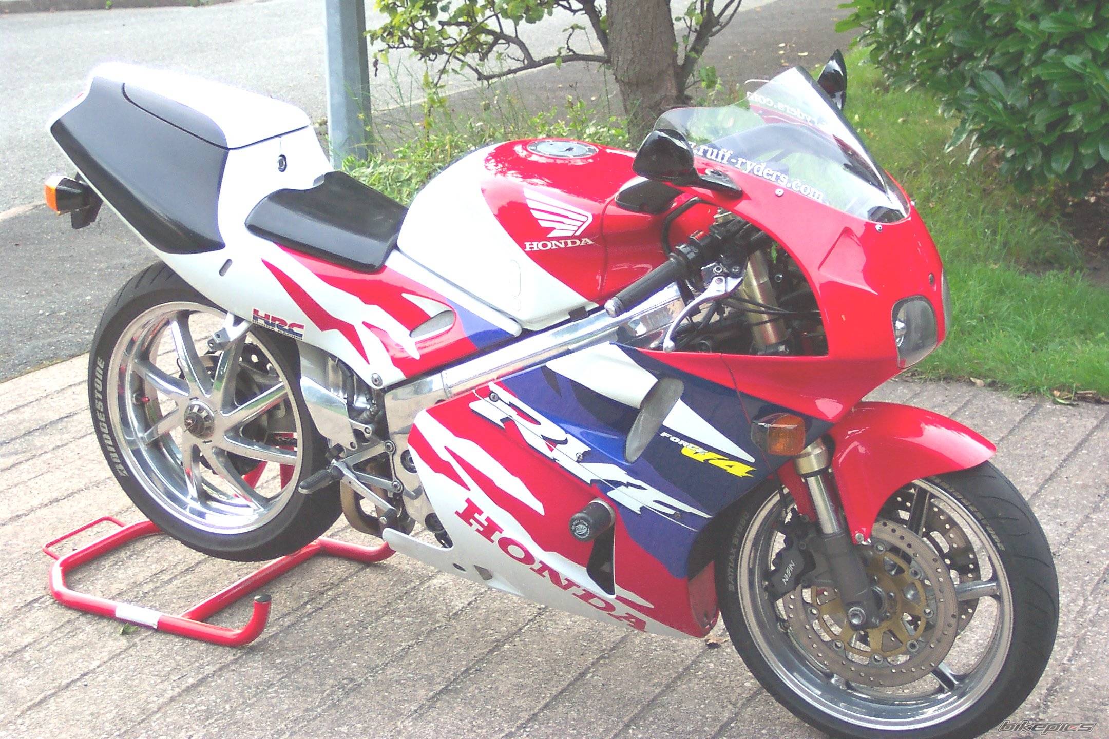 Photo 245581