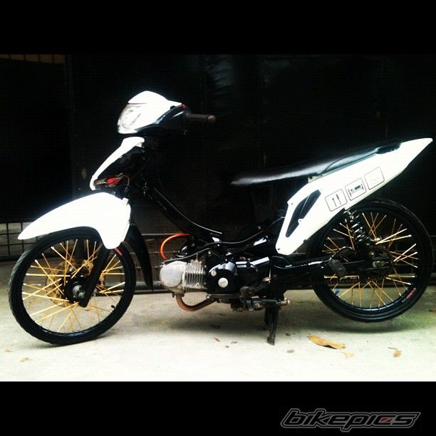 Photo 2455876
