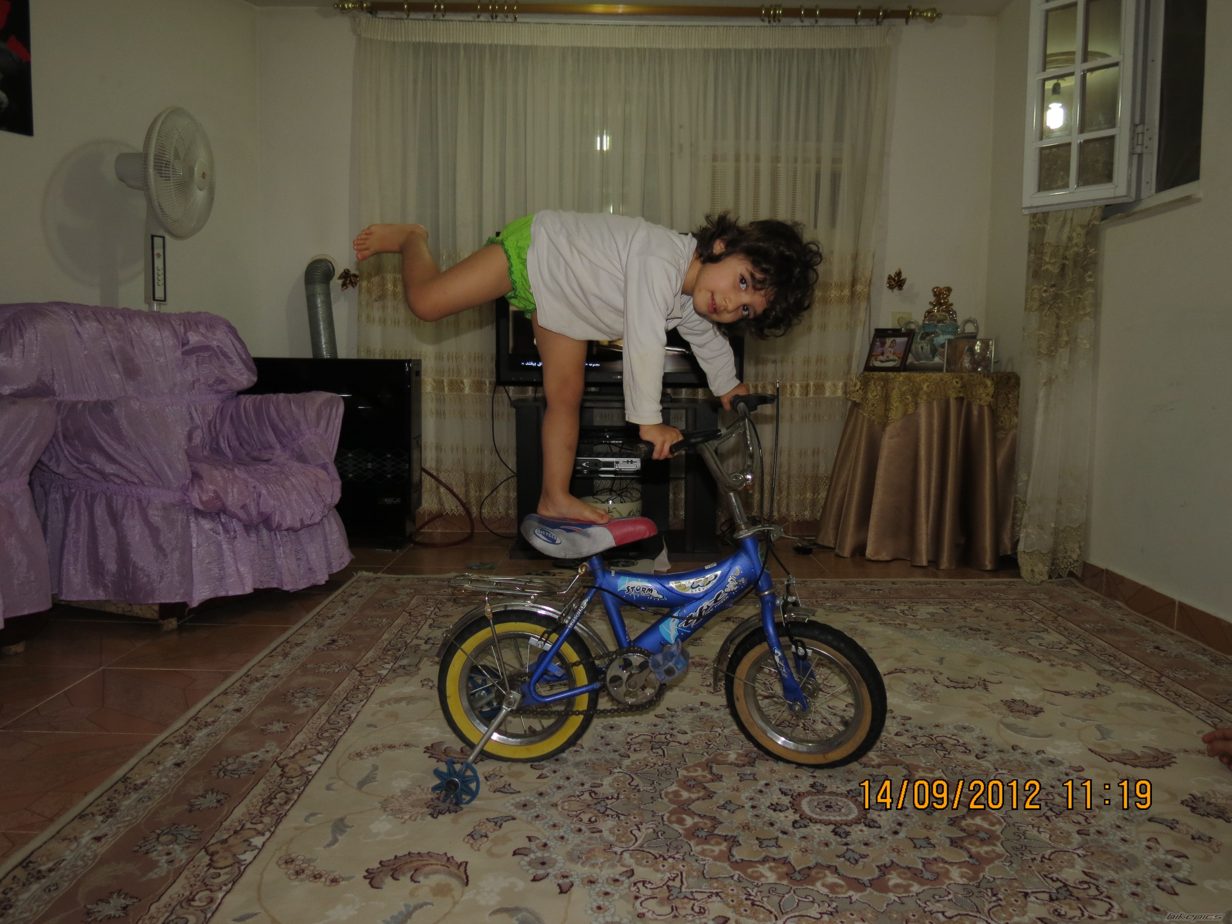 Photo 2455888
