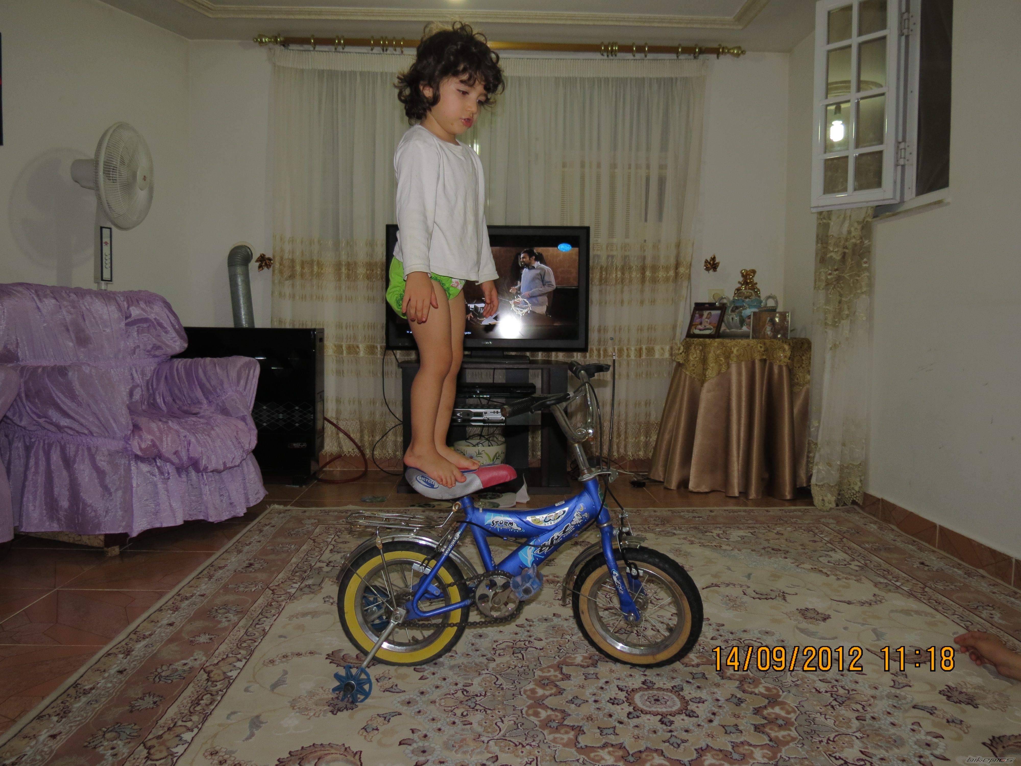 Photo 2455893