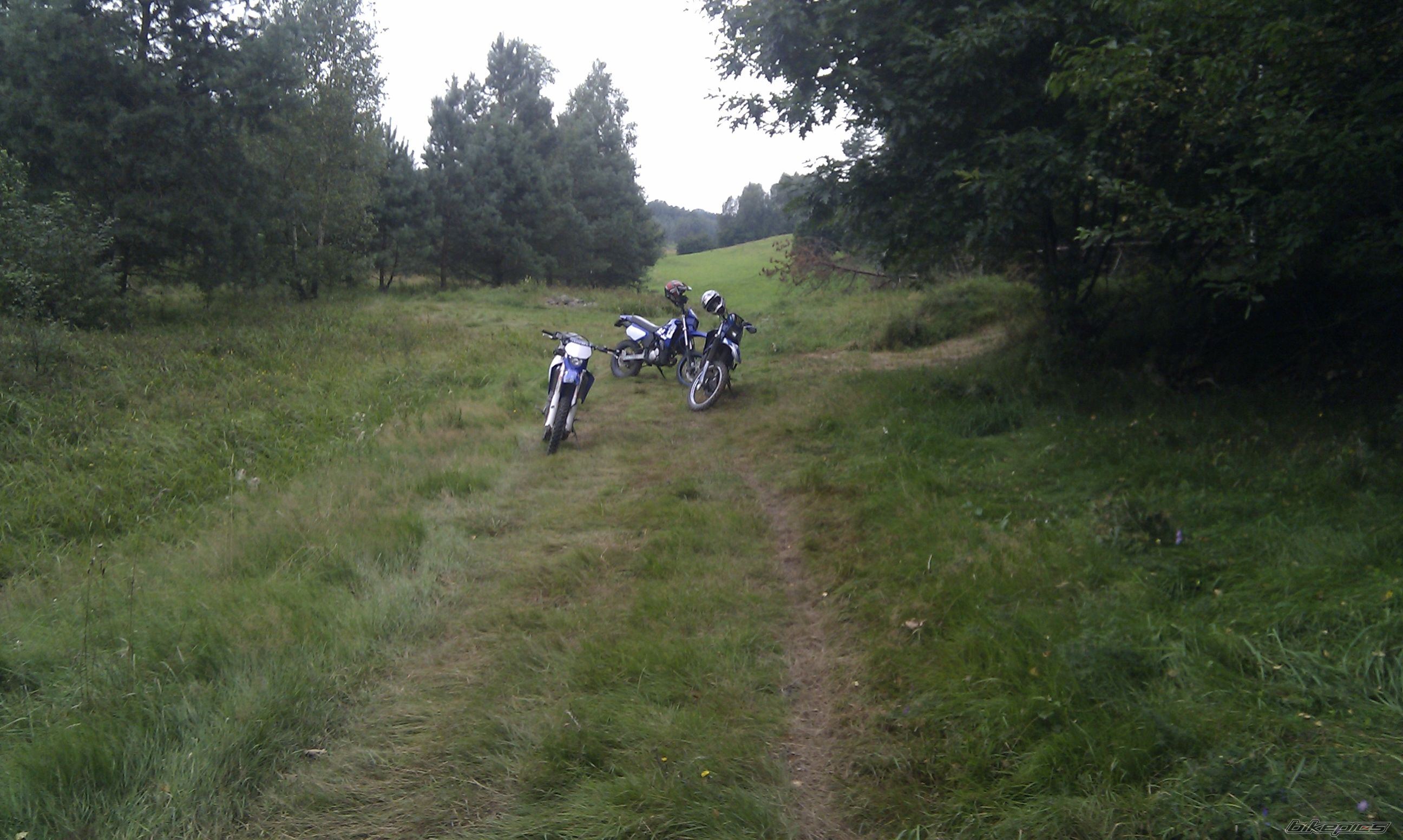 Photo 2456026