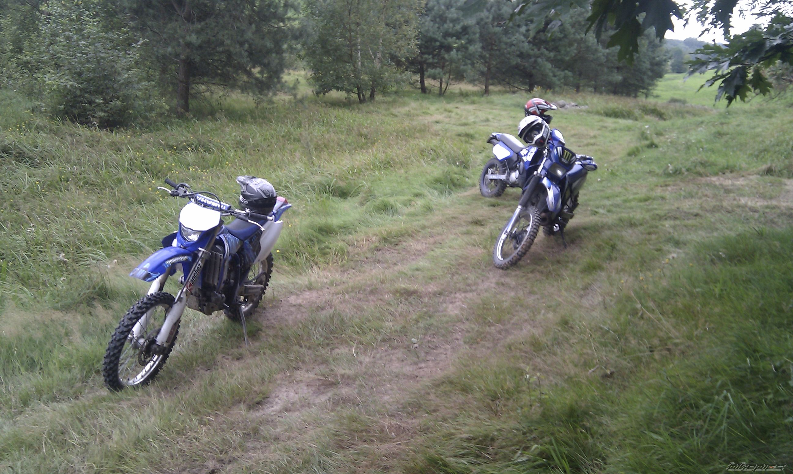 Photo 2456028