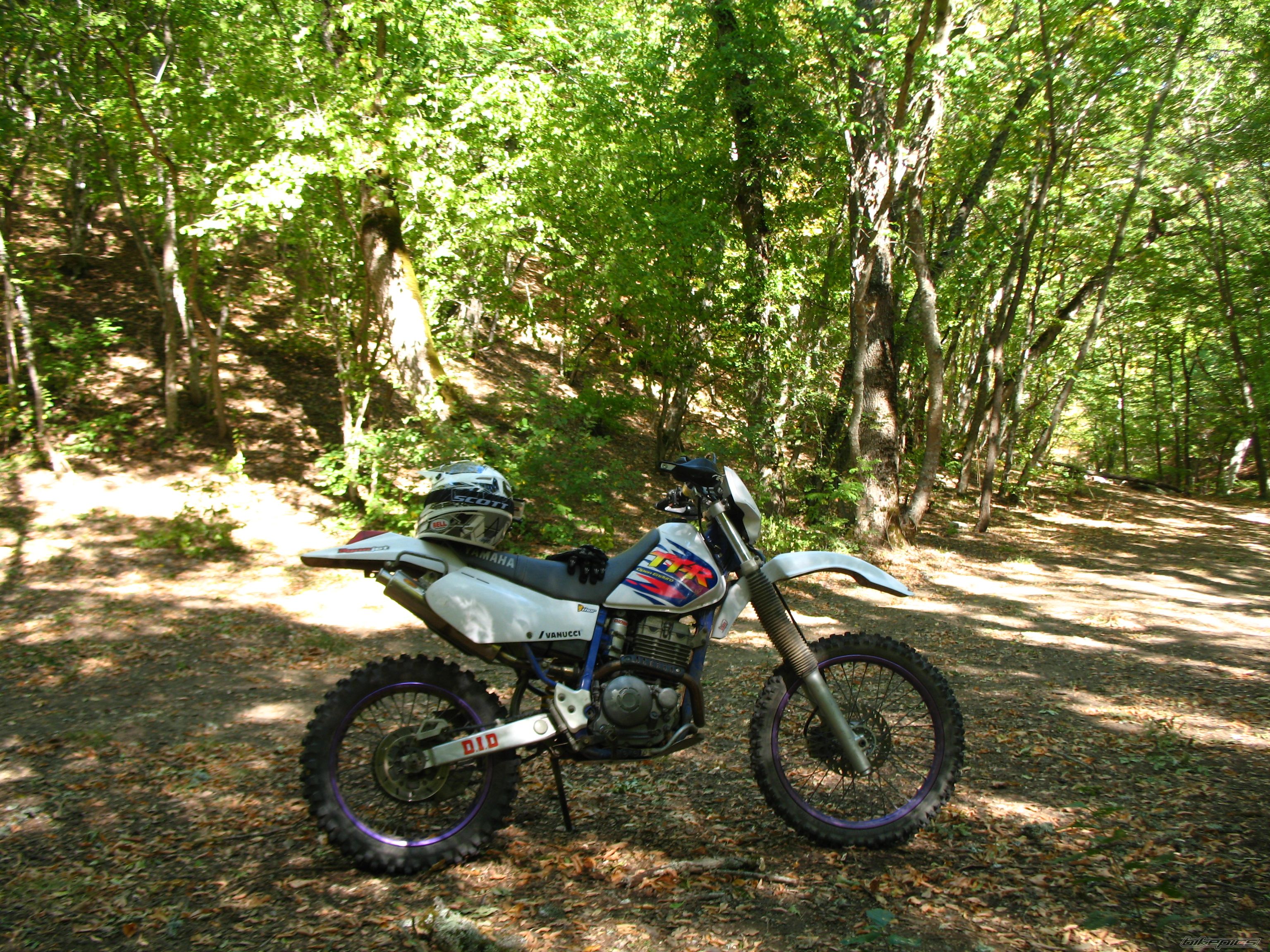 Photo 2456030