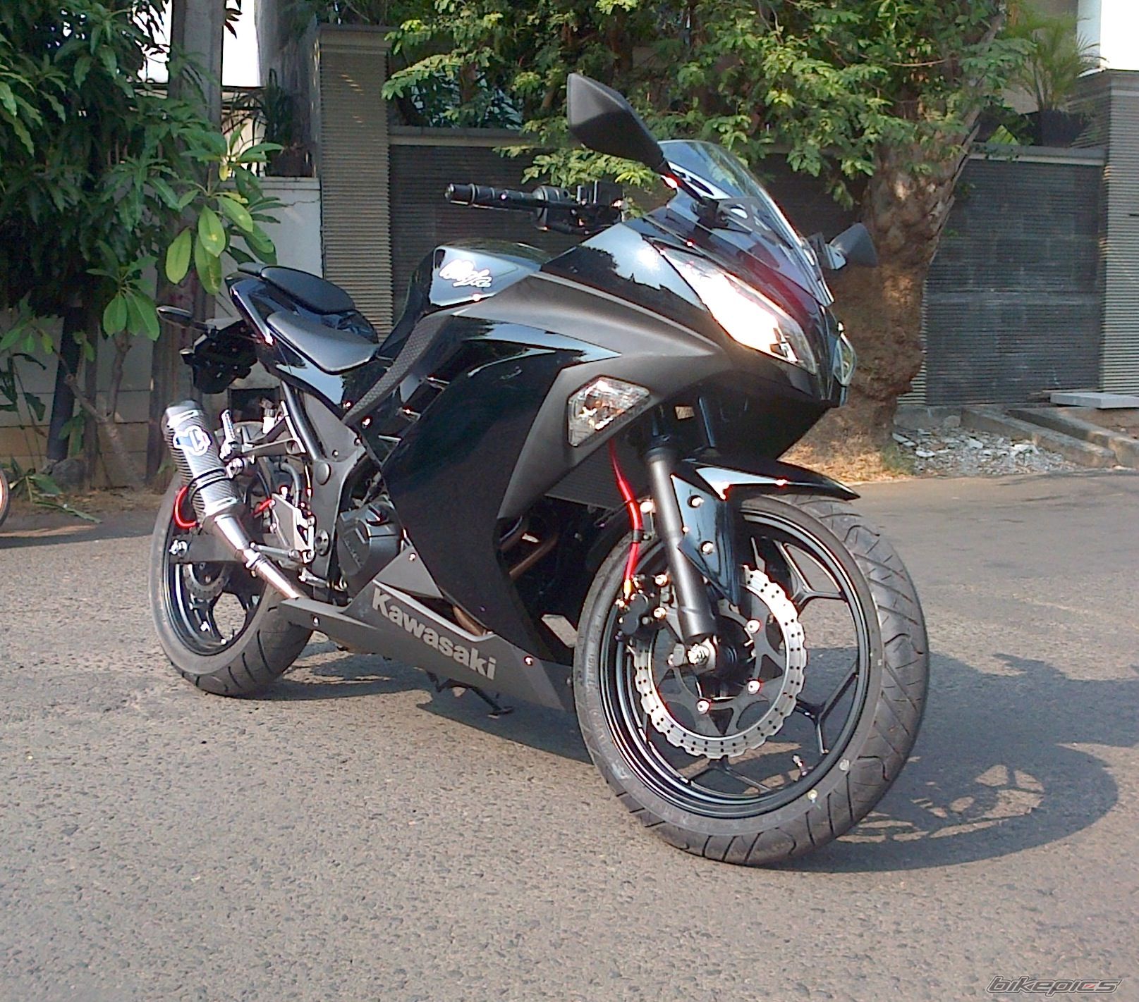 Bike Photo 2456038