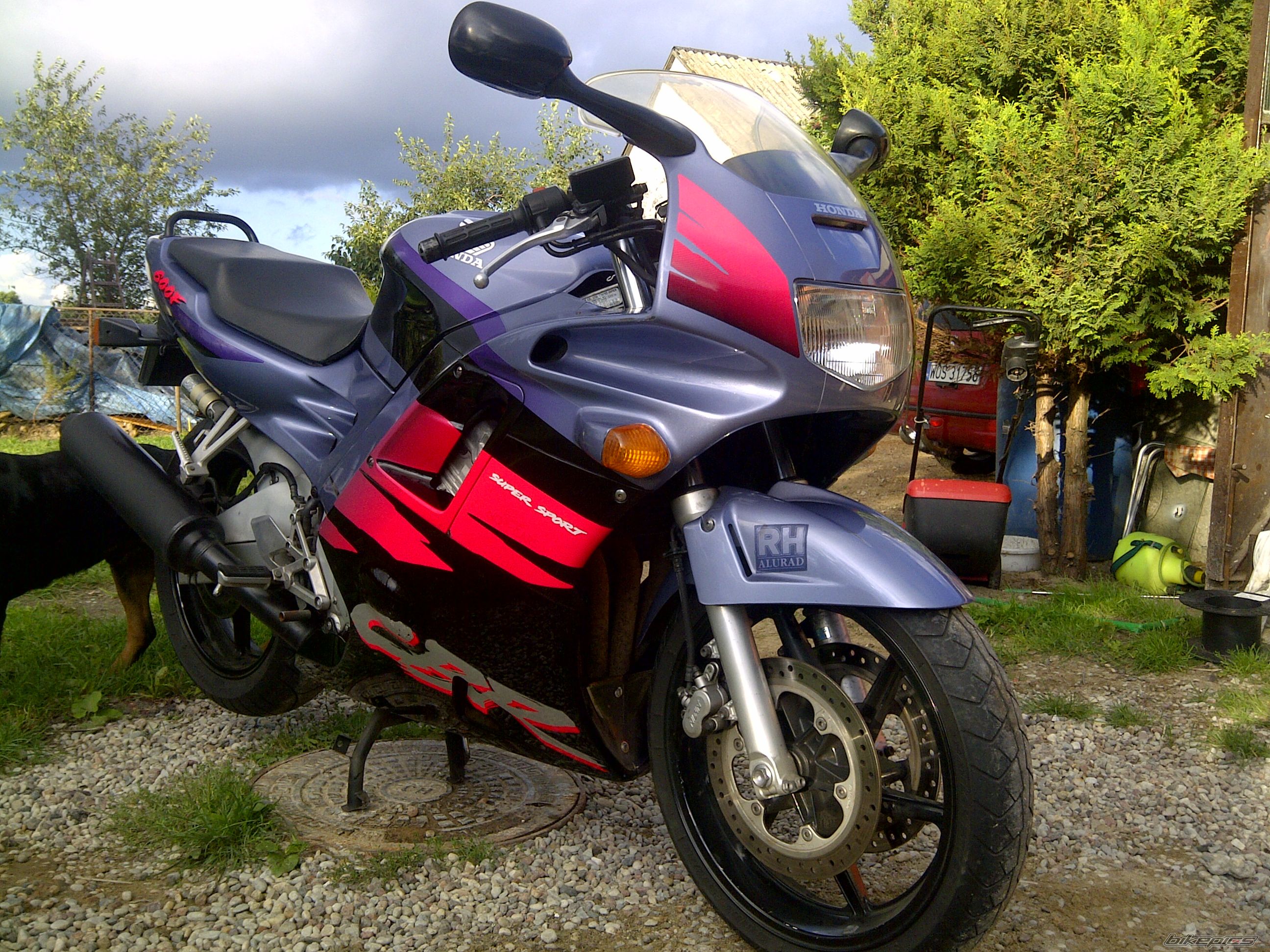 Photo 2456062