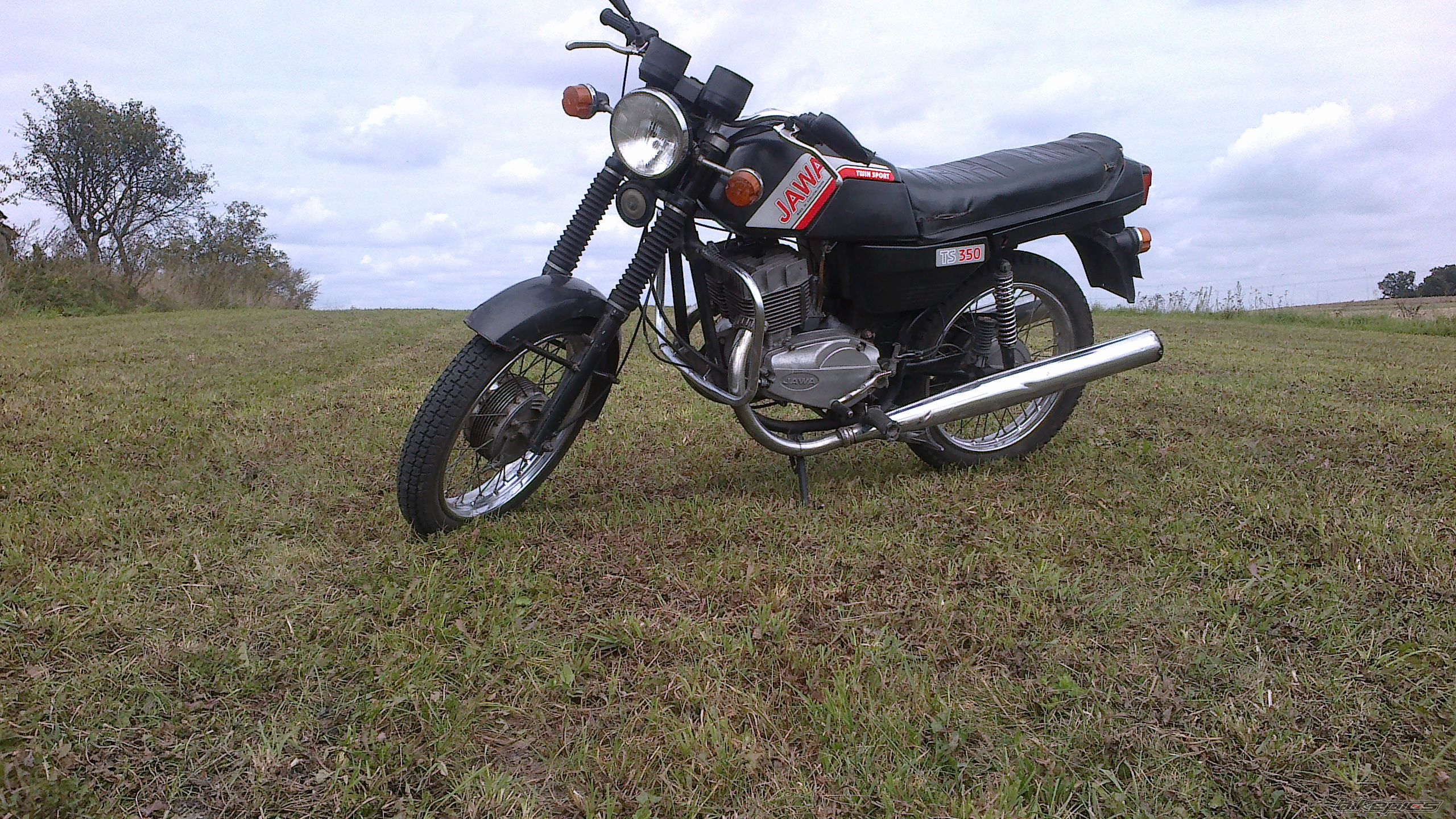 Photo 2456155