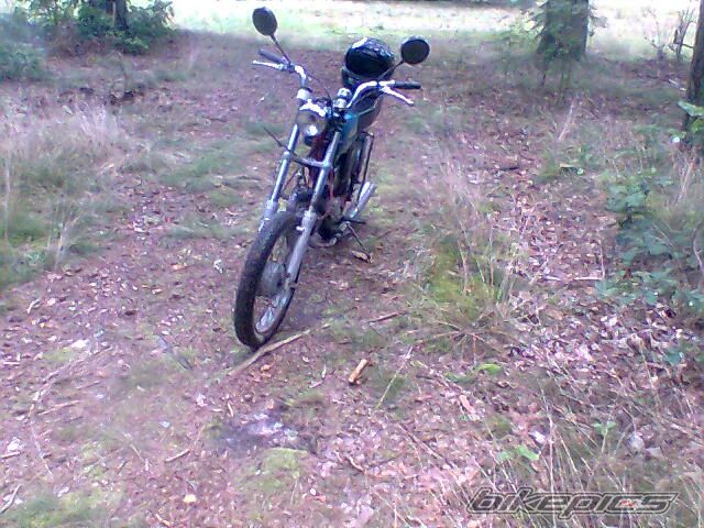 Photo 2456174