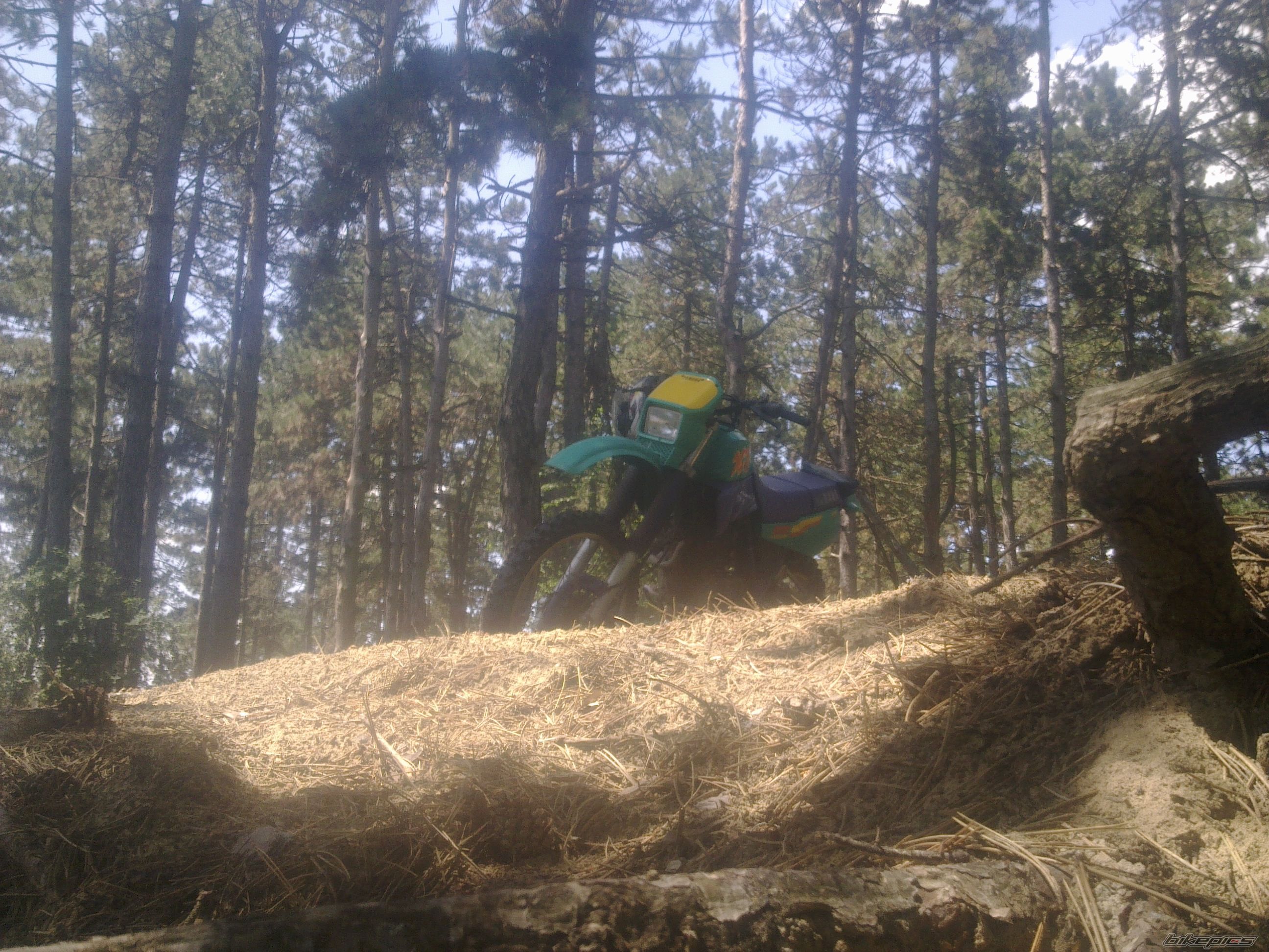 Photo 2456206