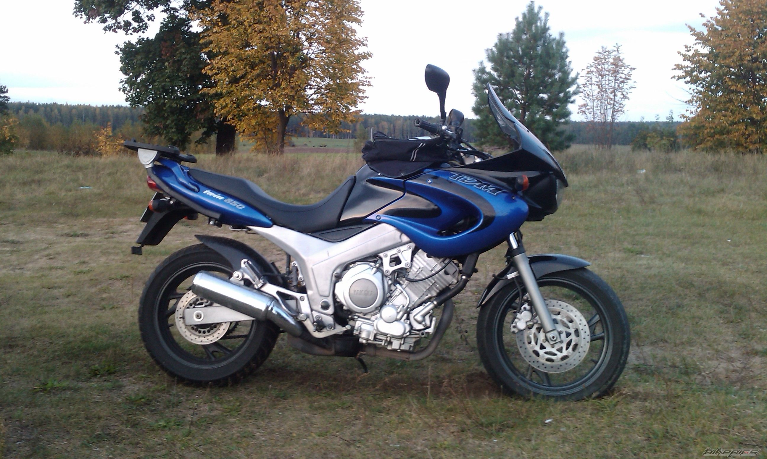 Photo 2456226