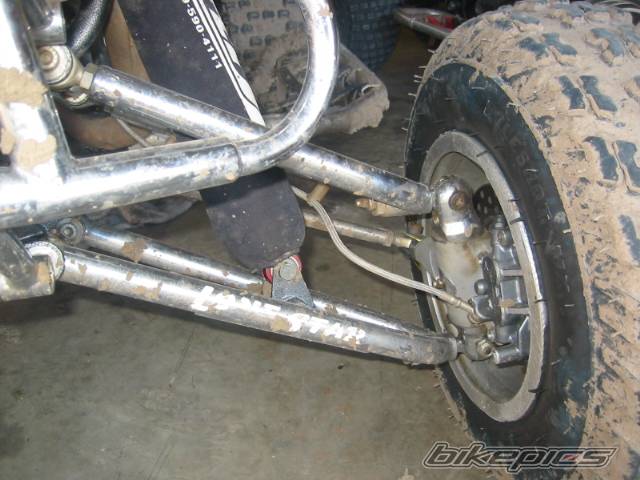 Photo 245631