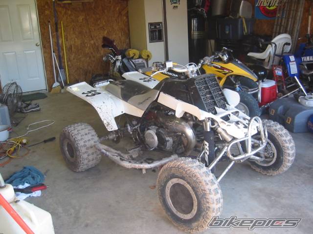 Photo 245632