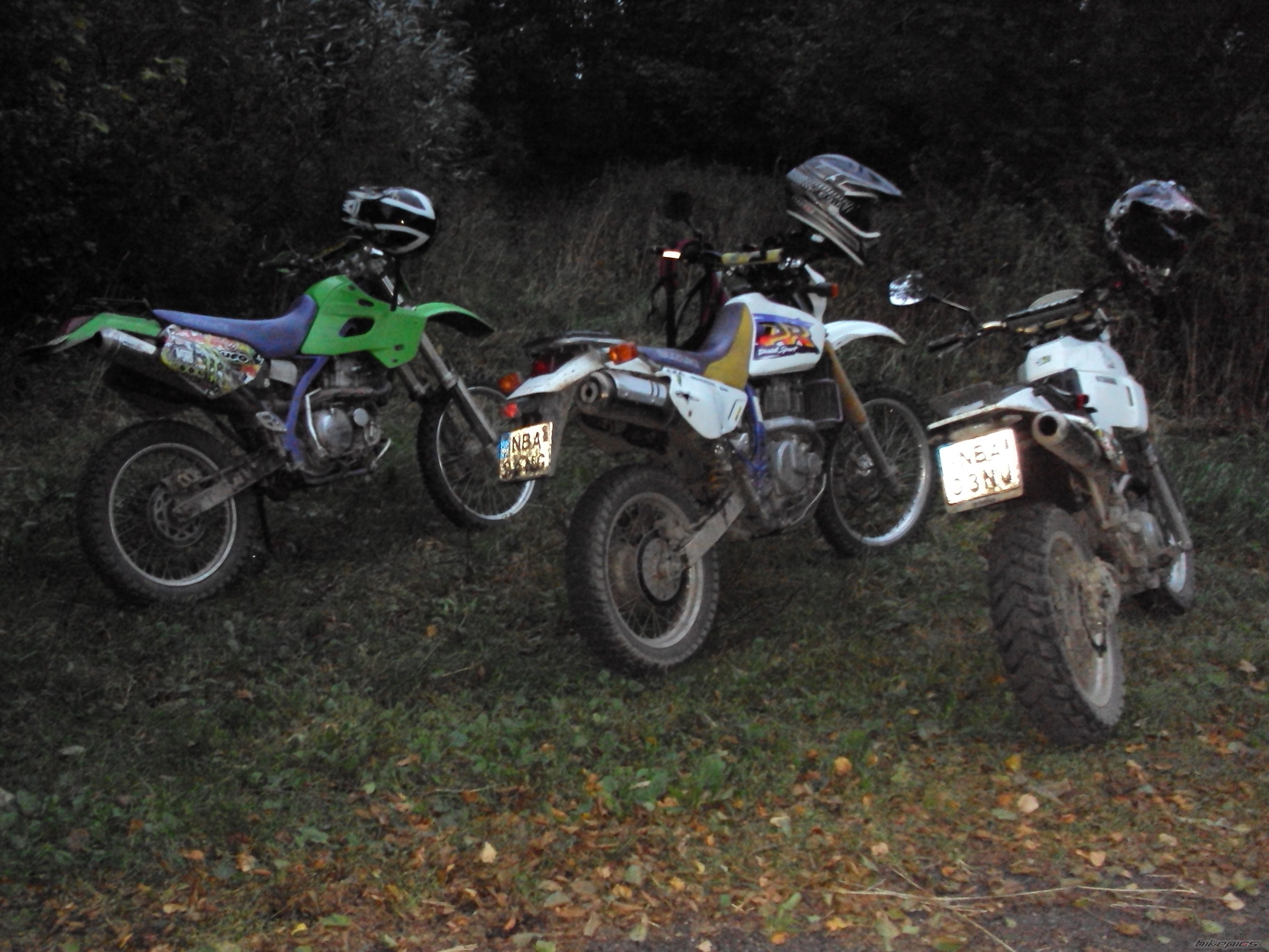 Photo 2456346