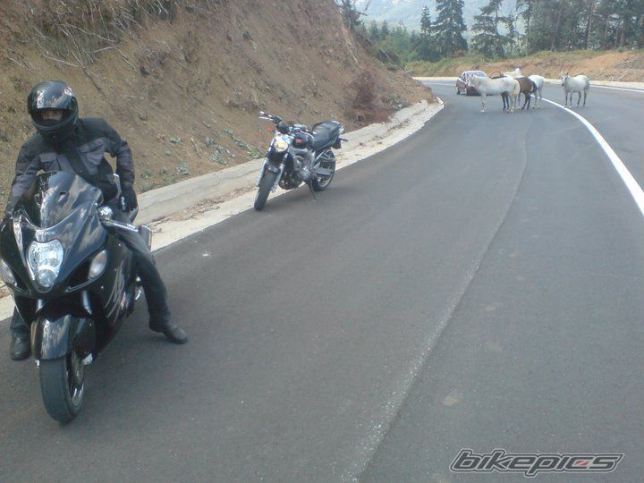 Photo 2456377