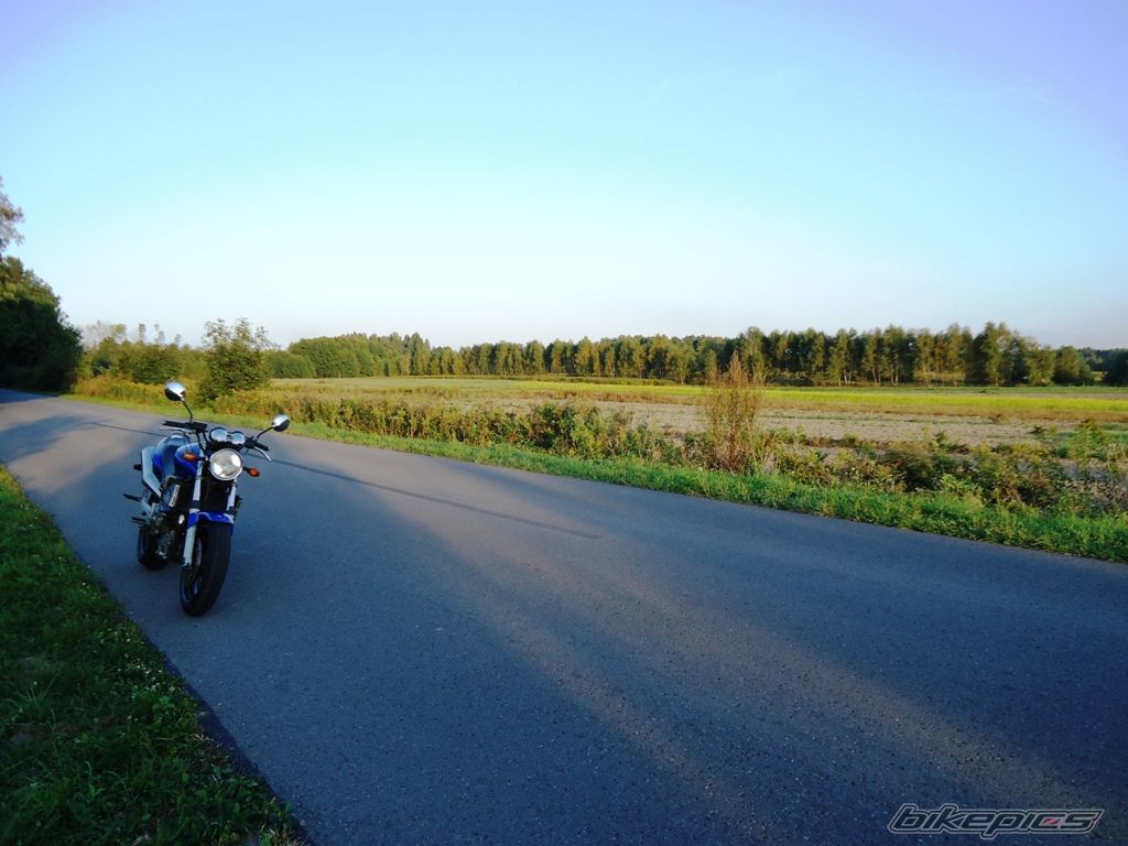 Photo 2456426
