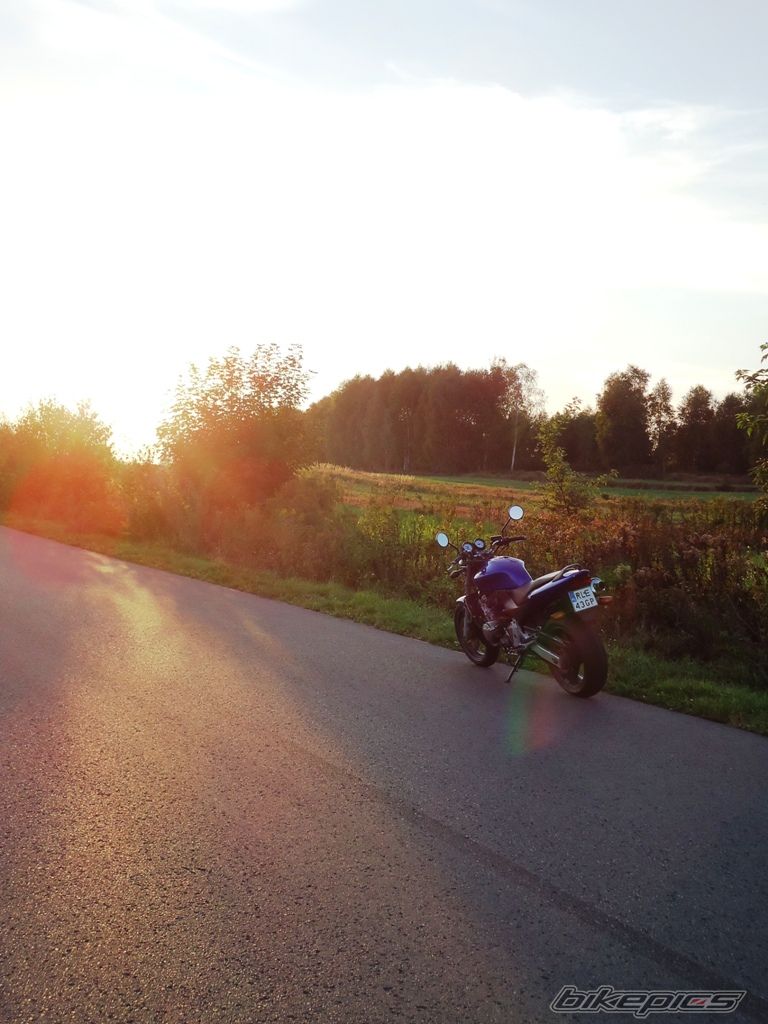 Photo 2456436