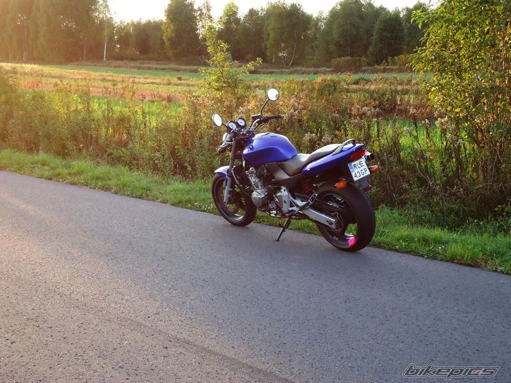 Photo 2456438
