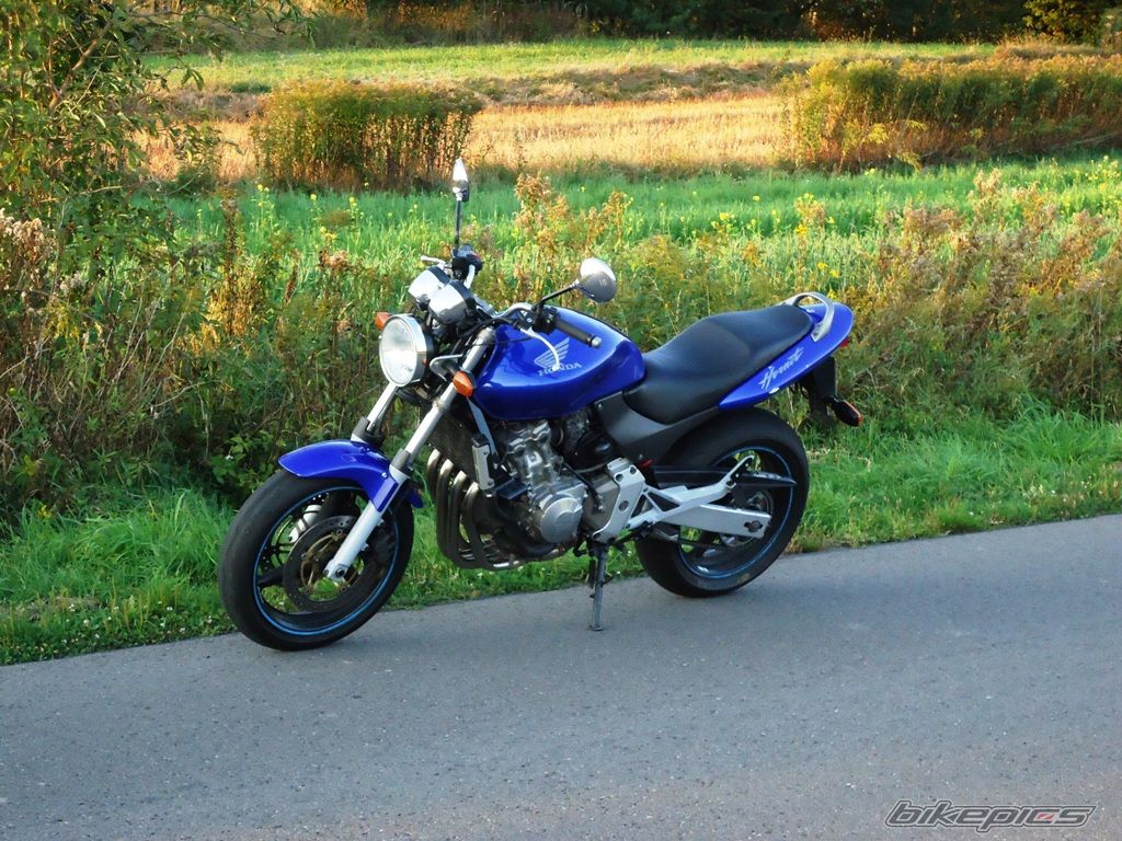 Photo 2456439