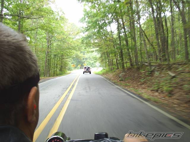 Photo 245646