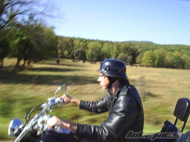Photo 245648