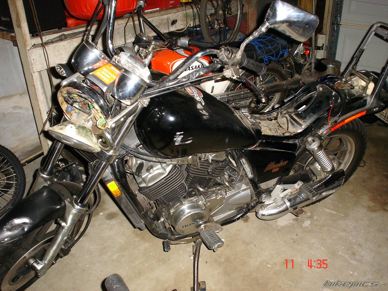 Photo 245649