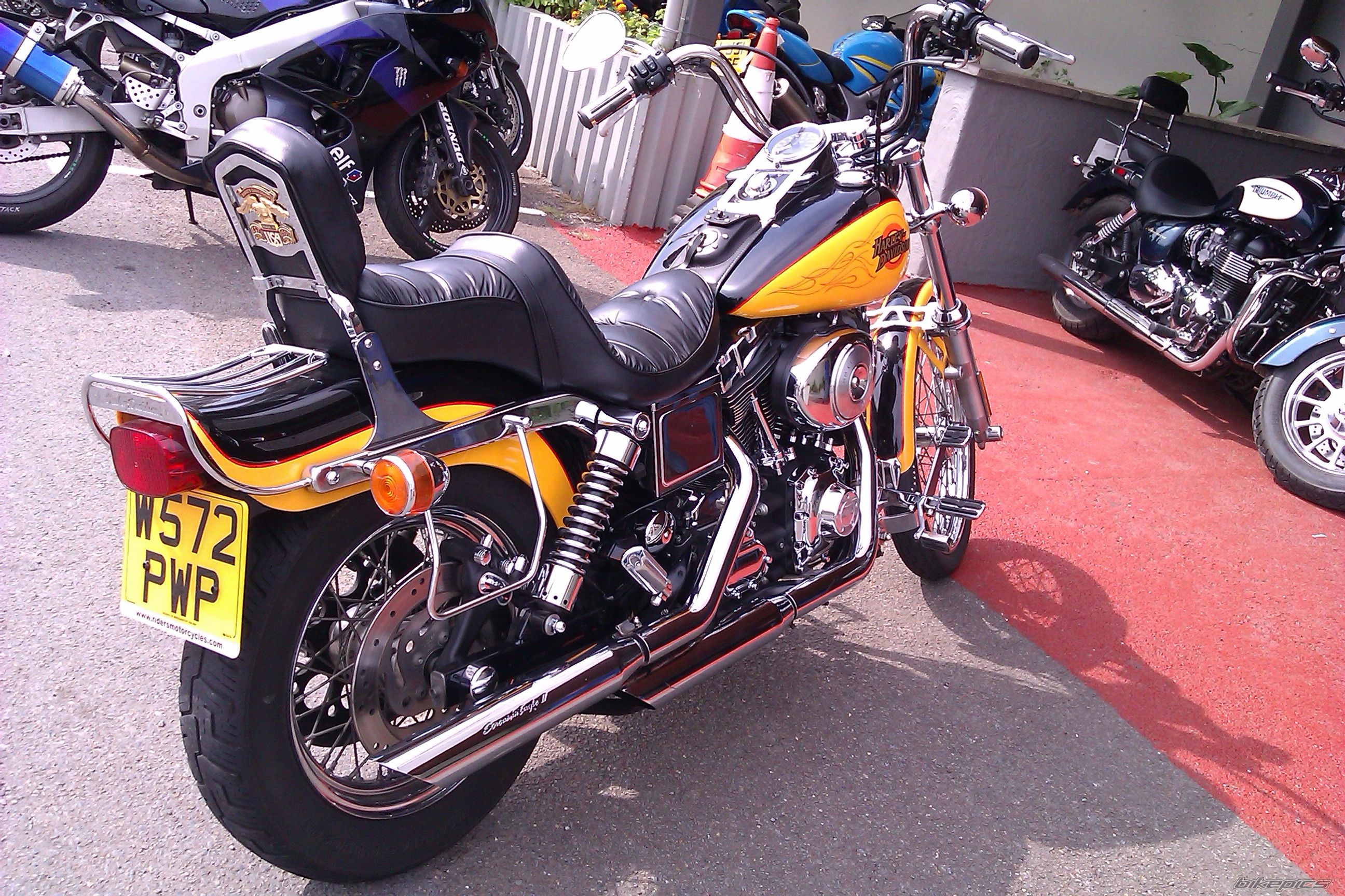 Photo 2456592