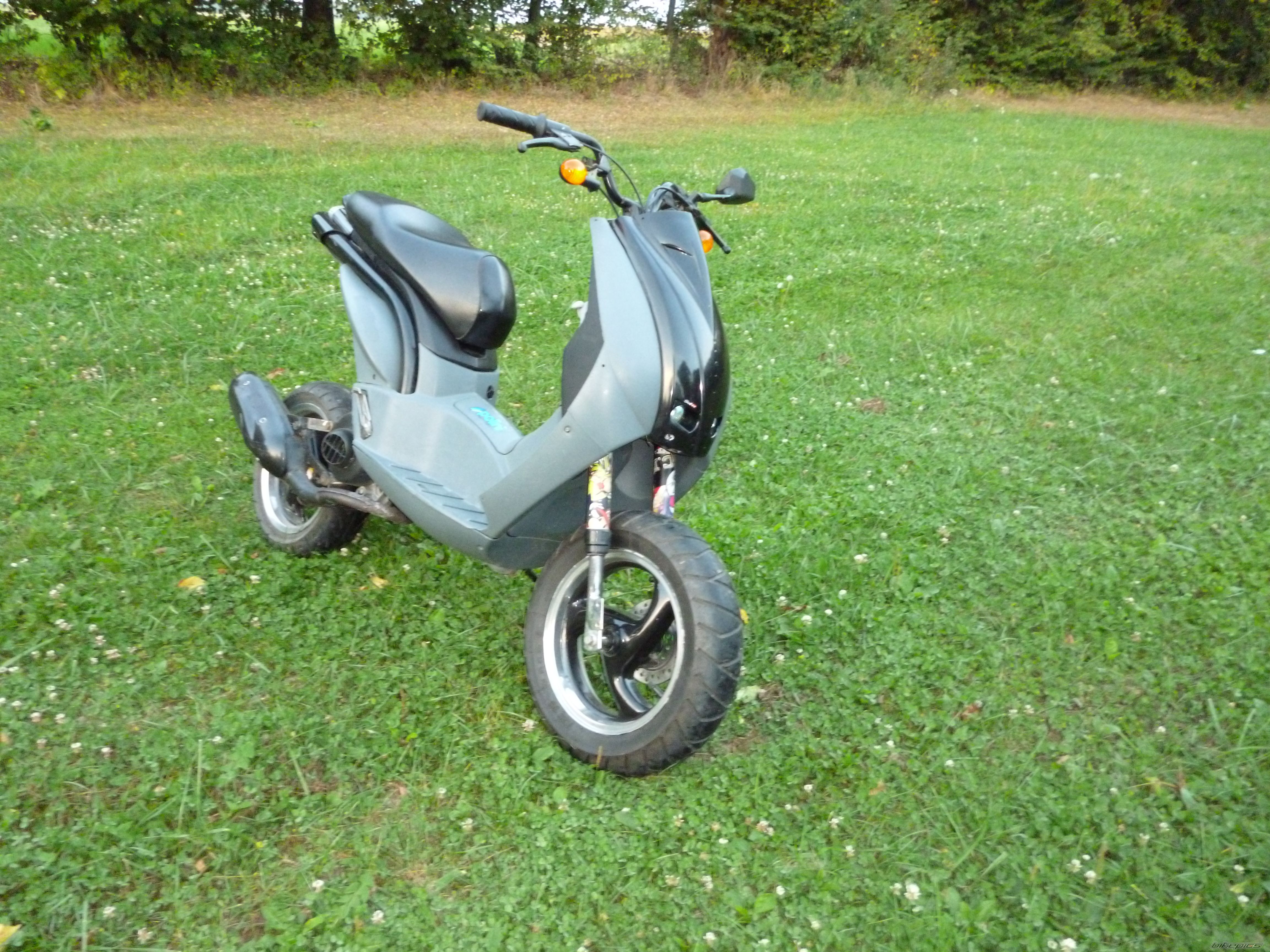 Photo 2456606