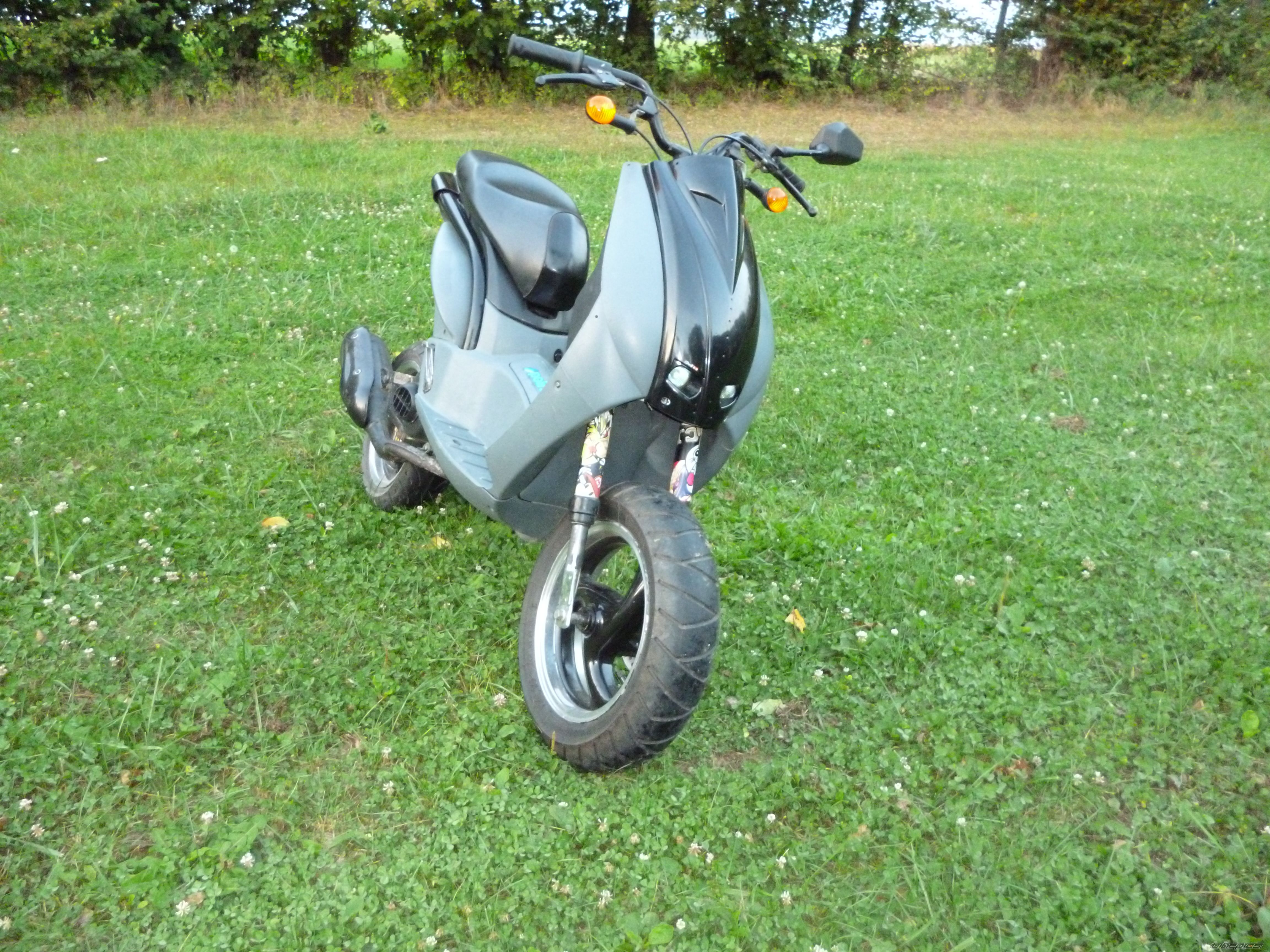 Photo 2456607