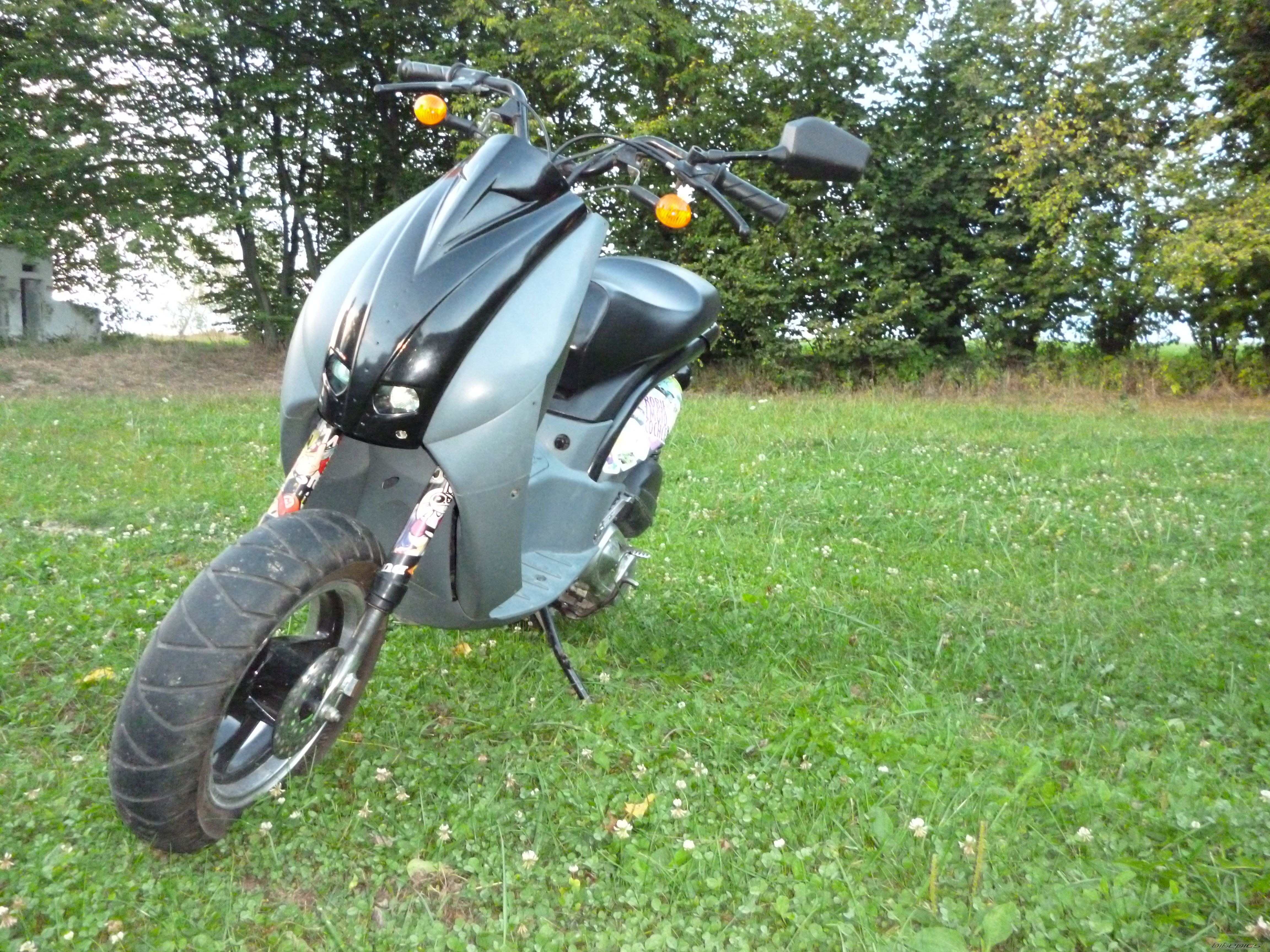 Photo 2456613