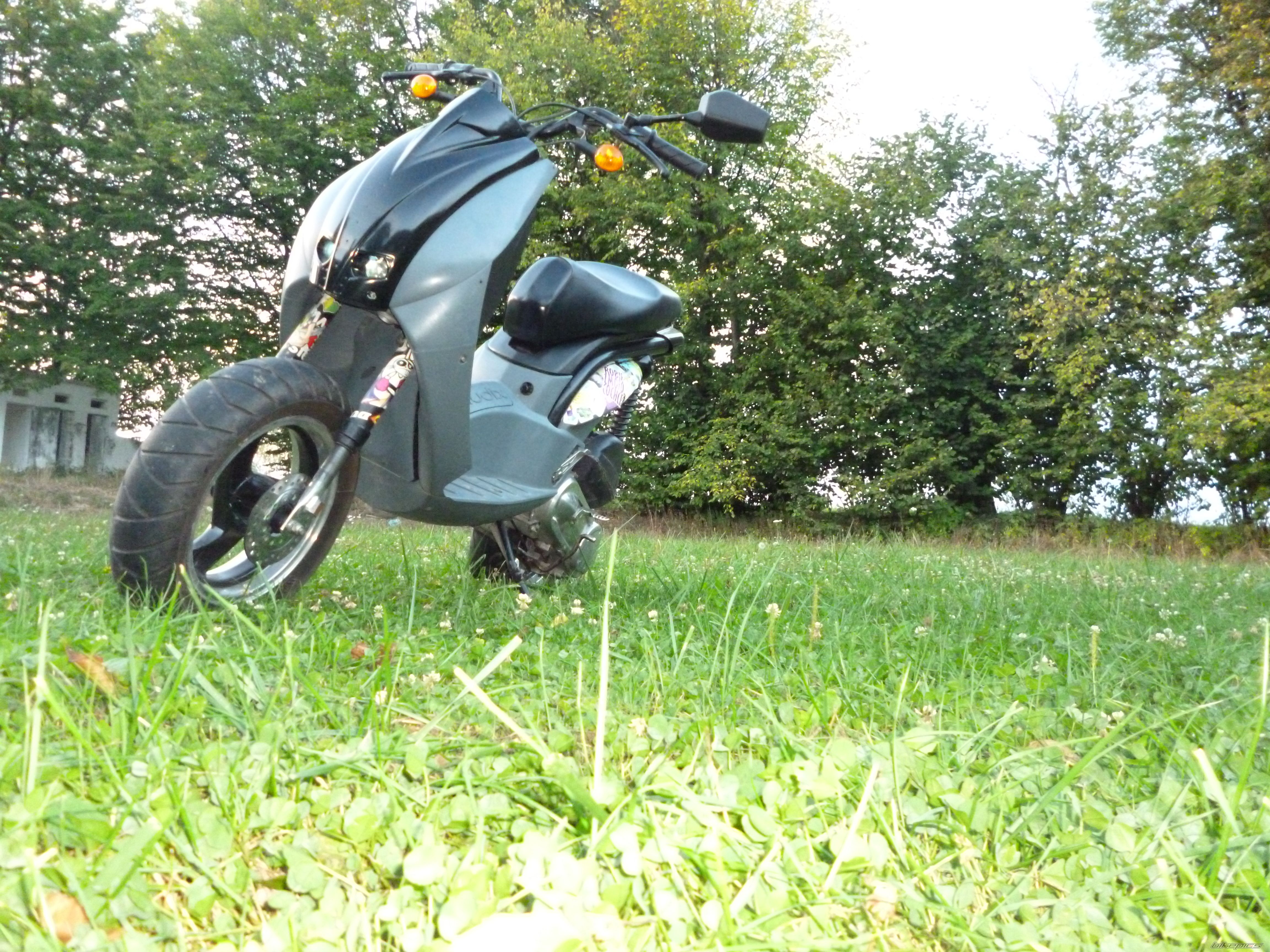 Photo 2456615