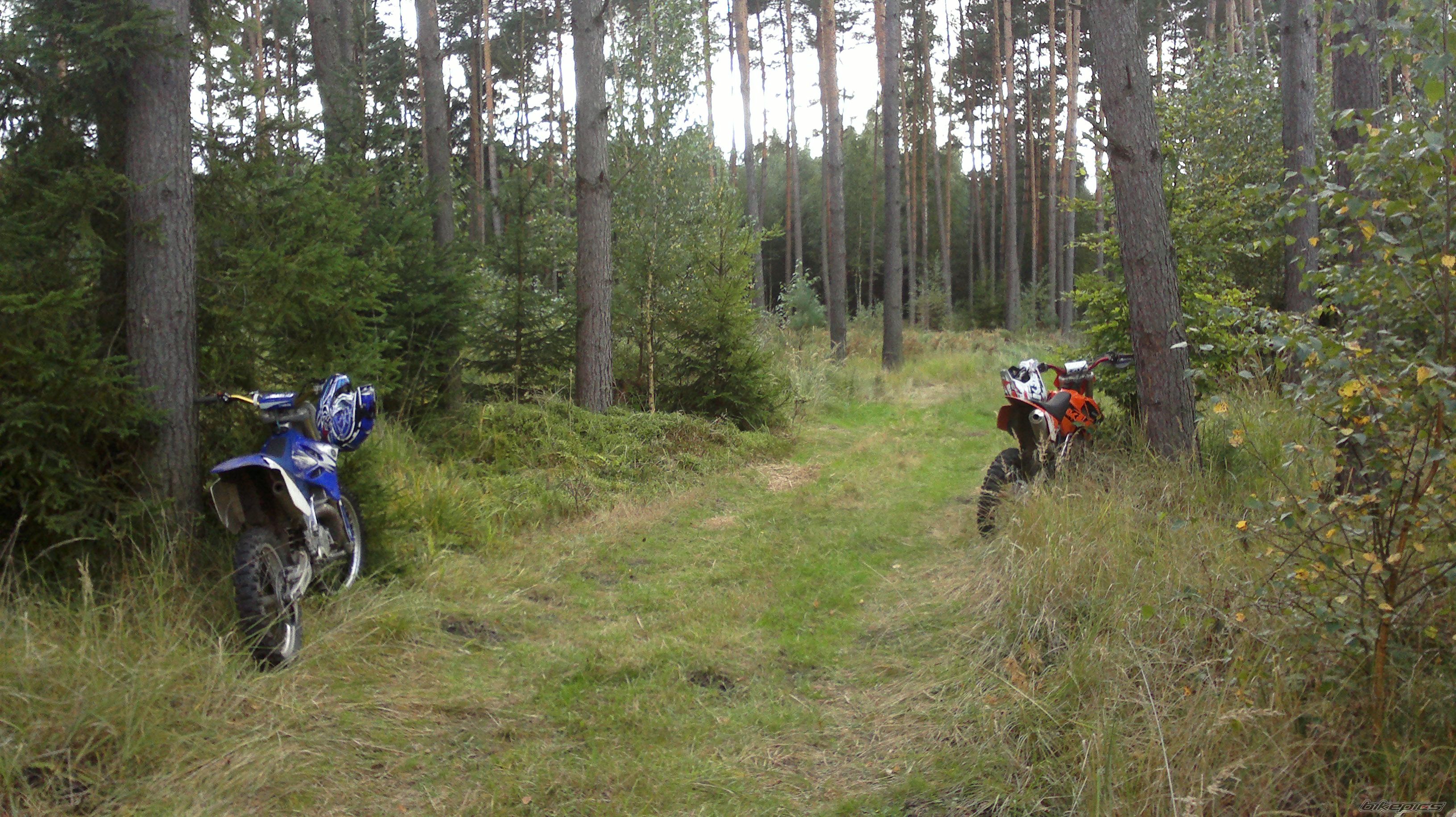 Photo 2456669