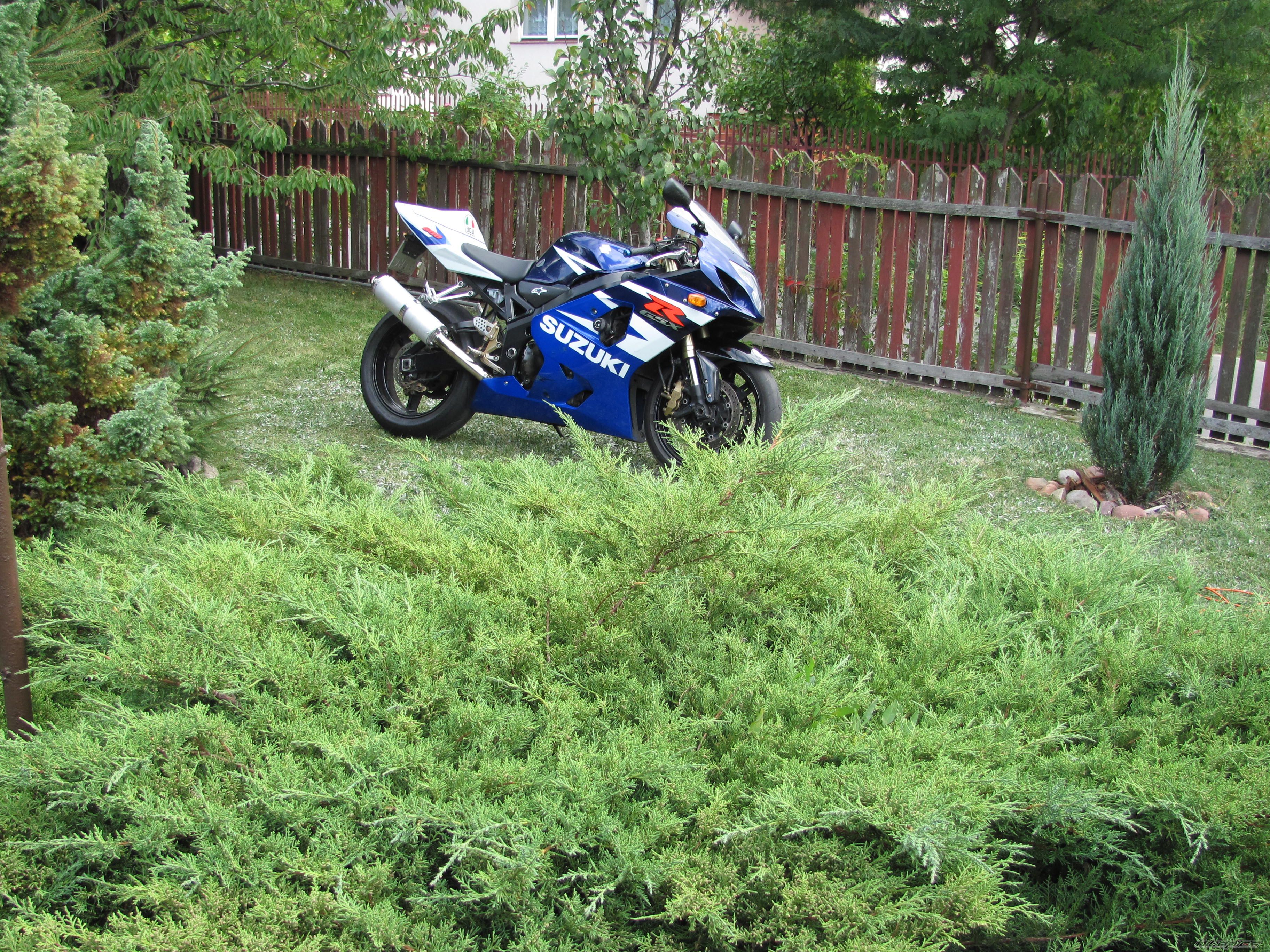 Photo 2456693