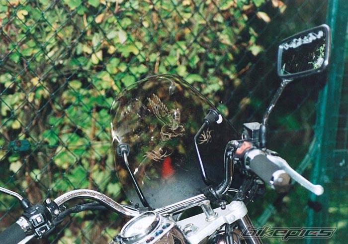 Photo 245682