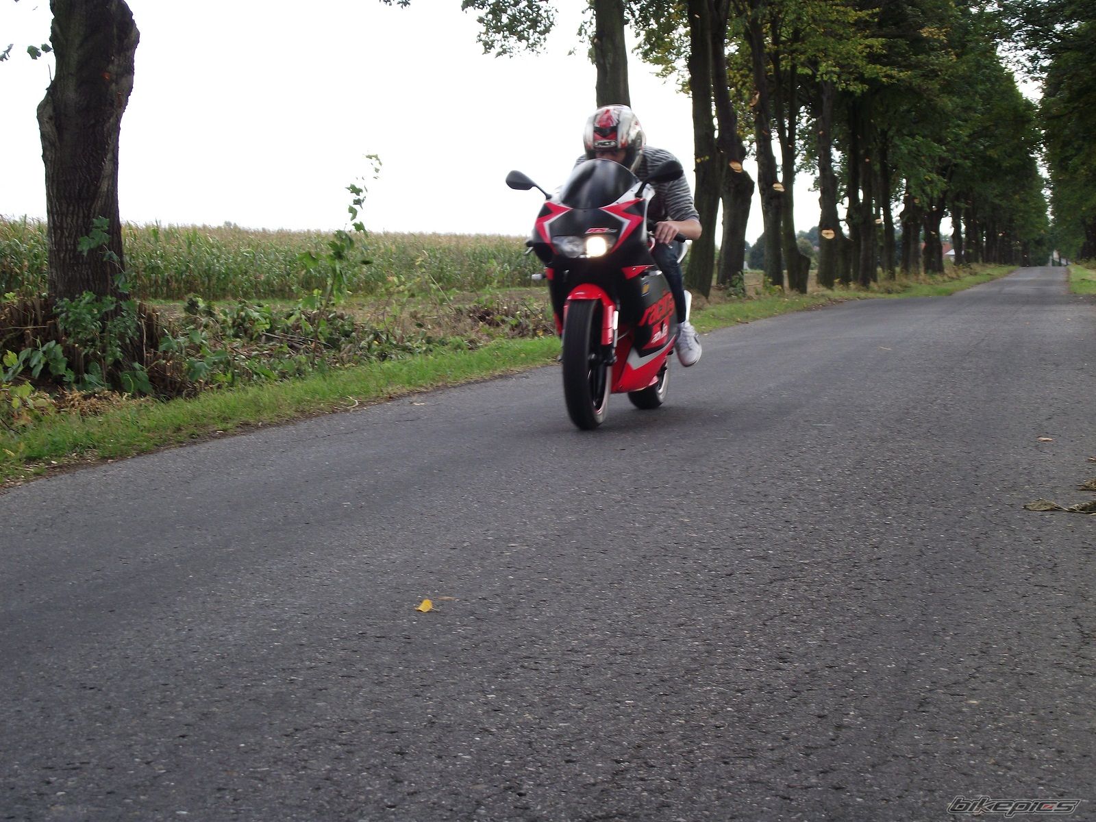 Photo 2456897