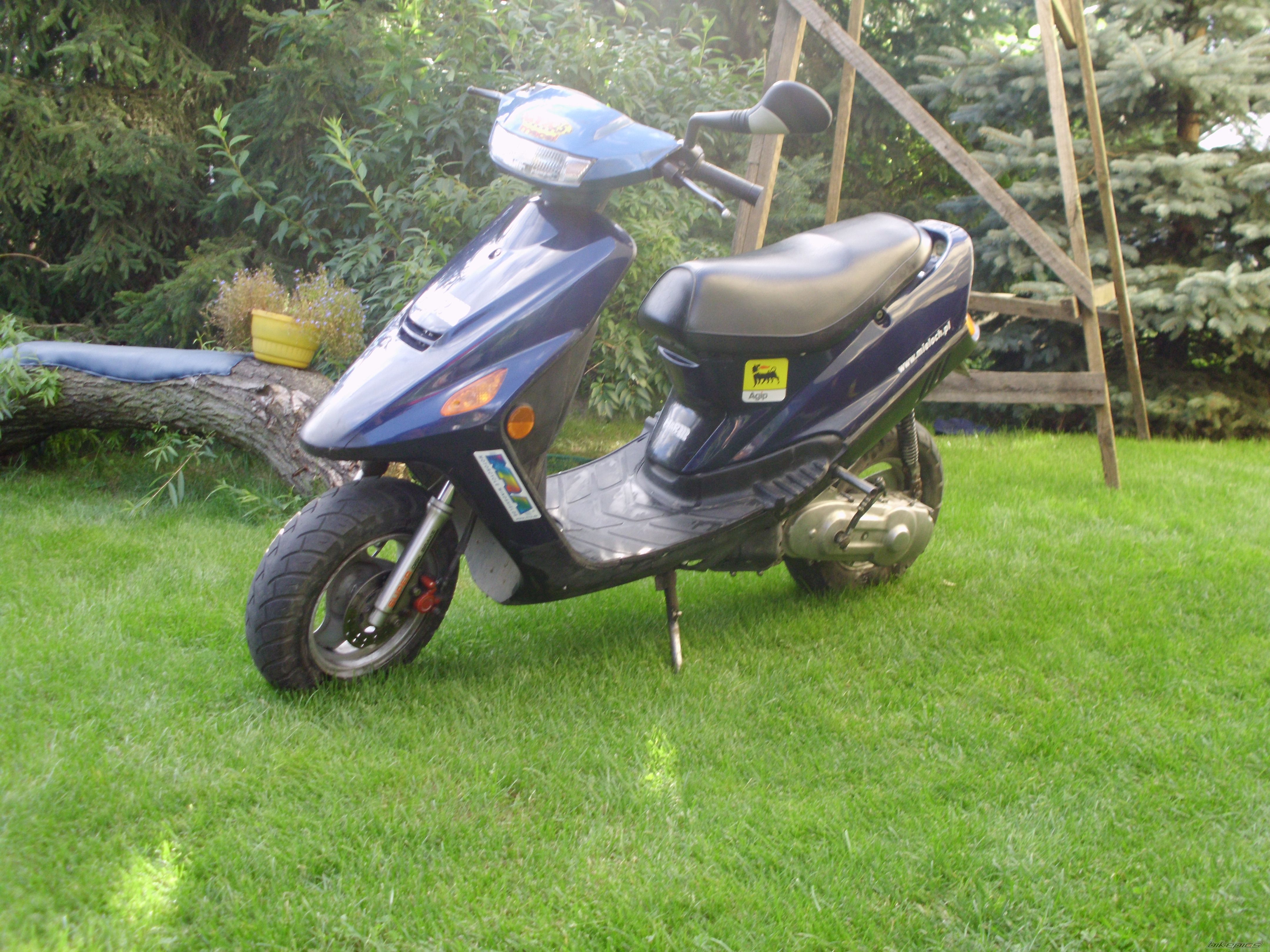 Photo 2456919