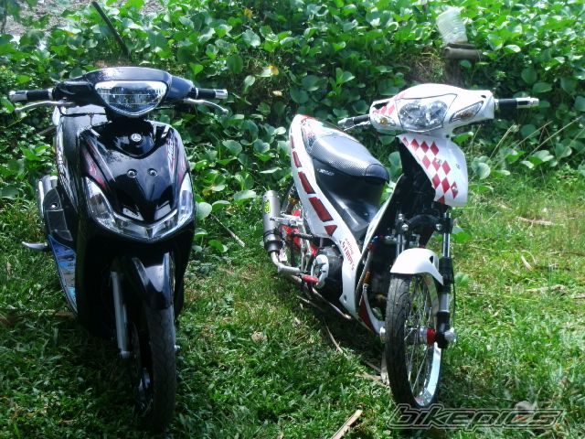 Photo 2456921