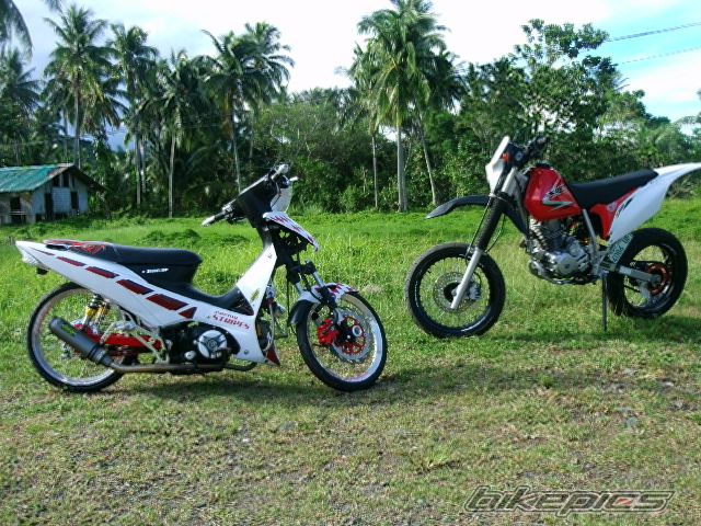 Photo 2456927