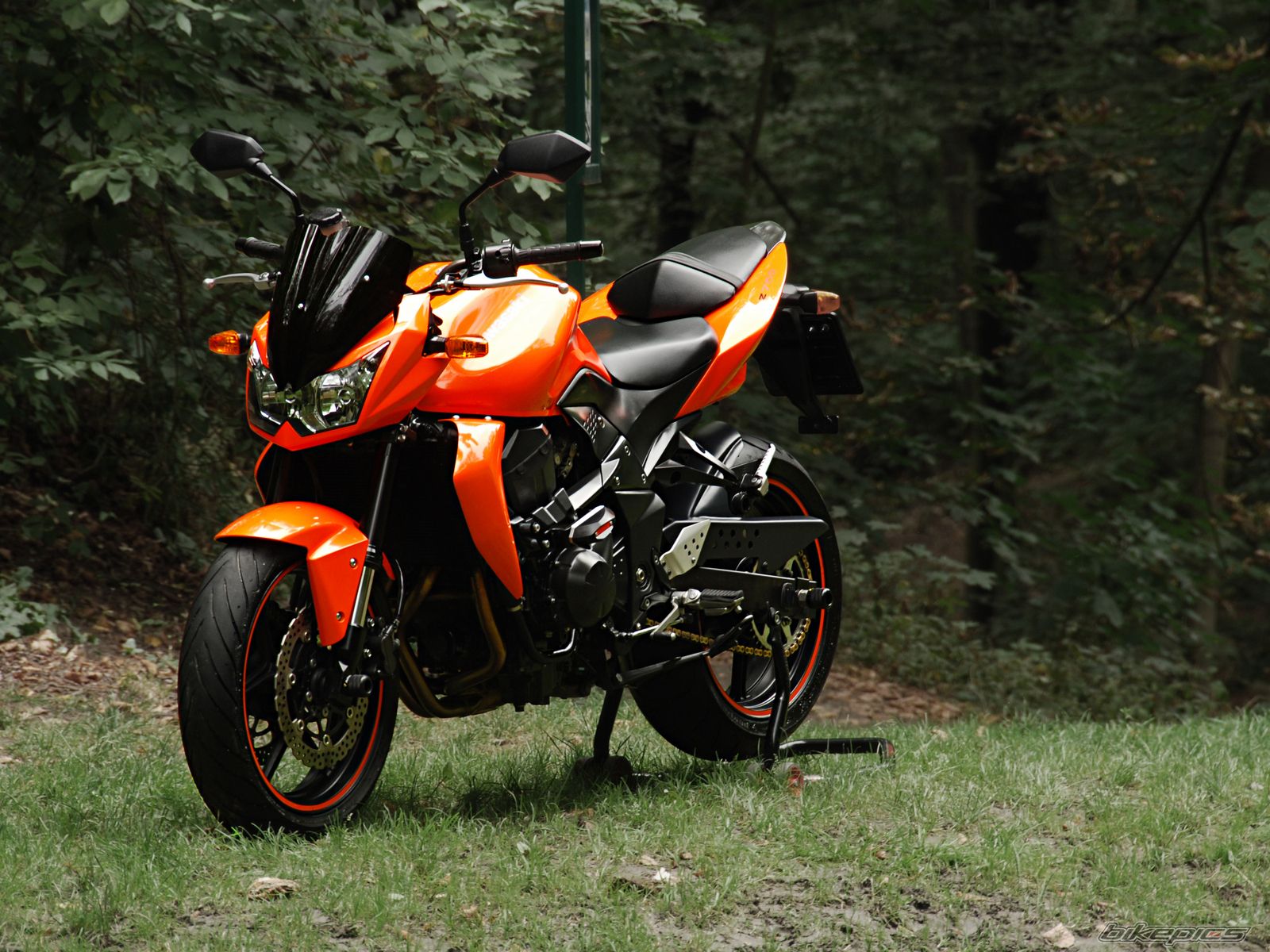 Photo 2457245