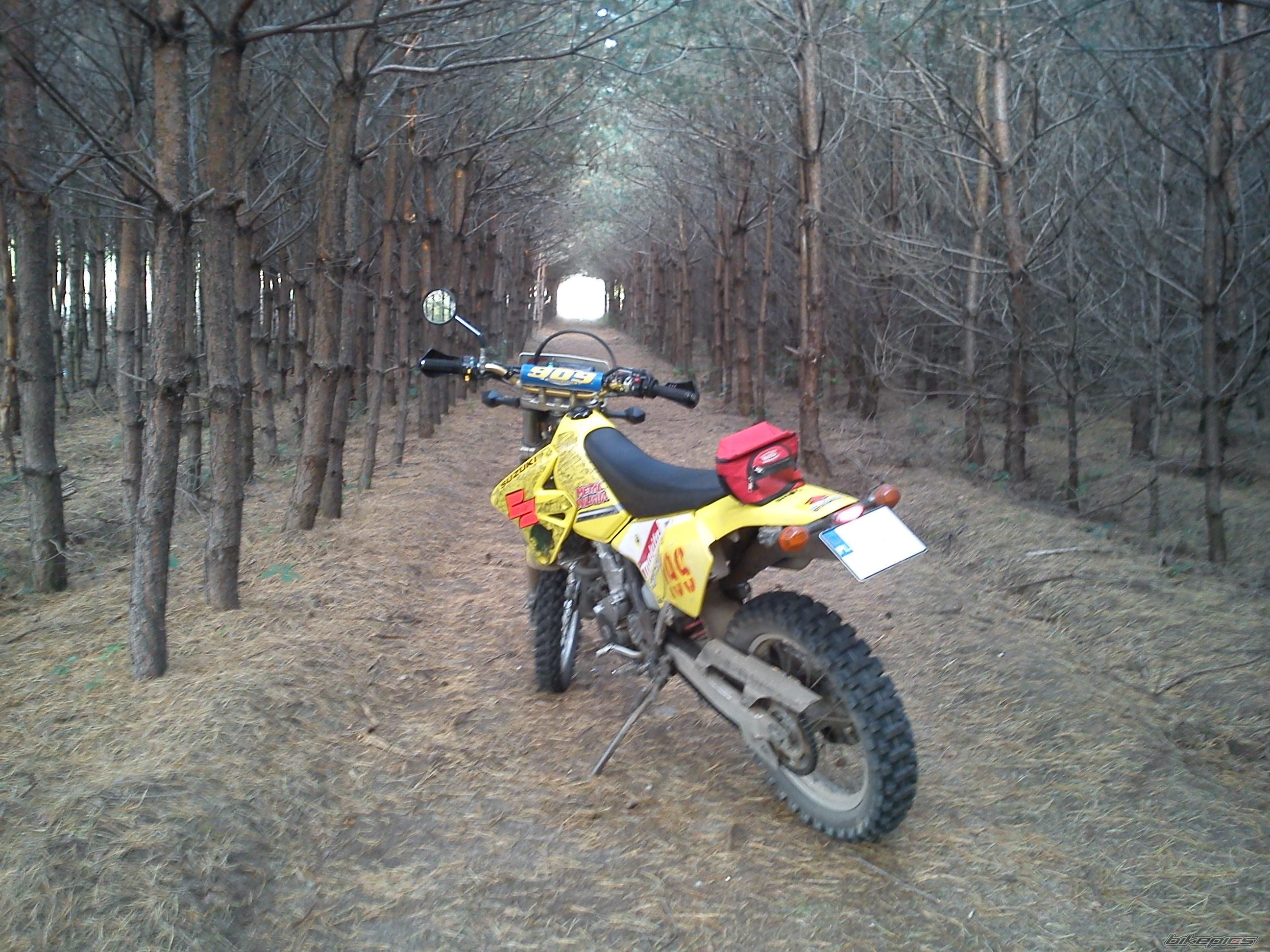 Bike Photo 2457253