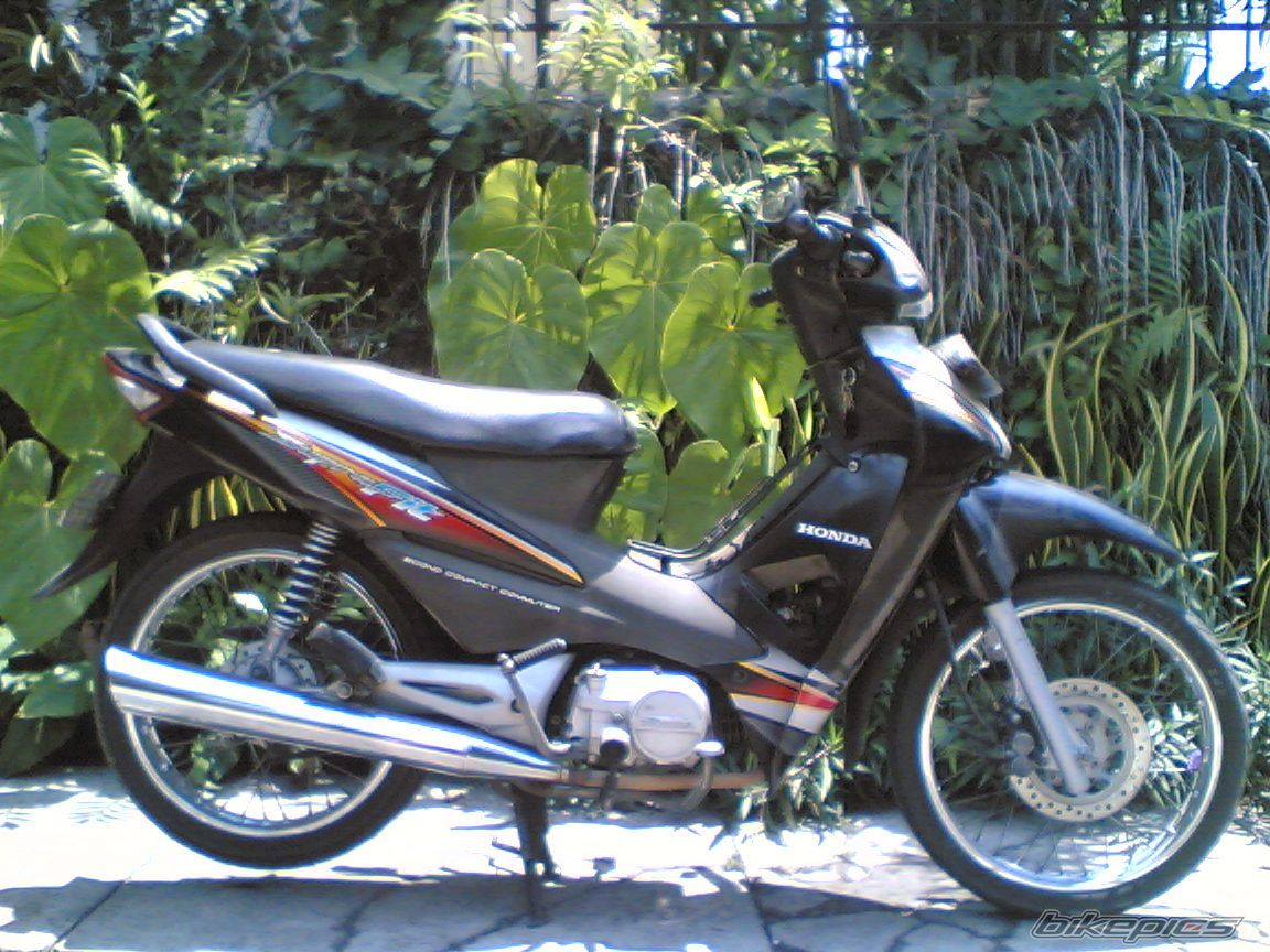 Photo 2457282