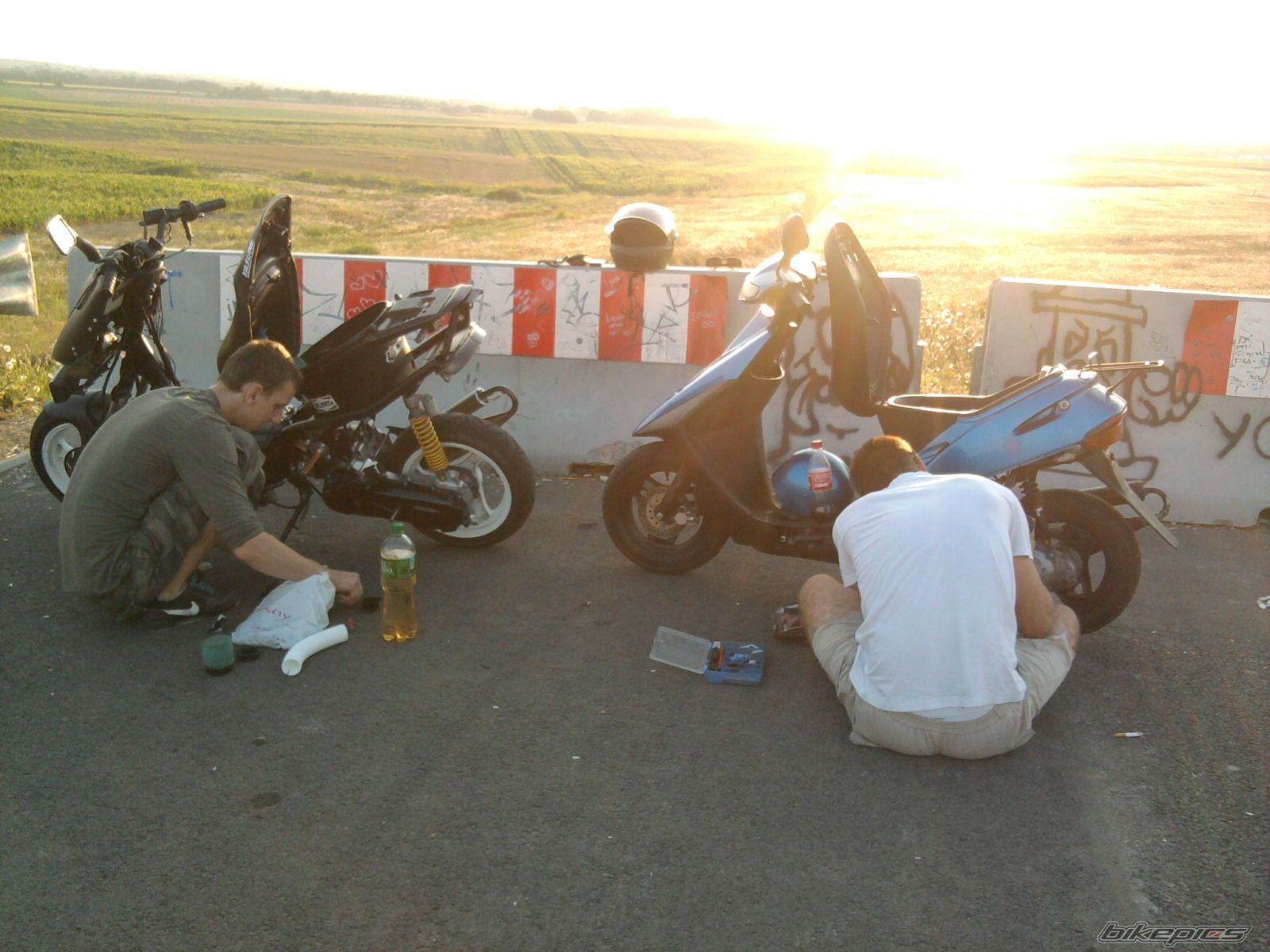 Photo 2457303