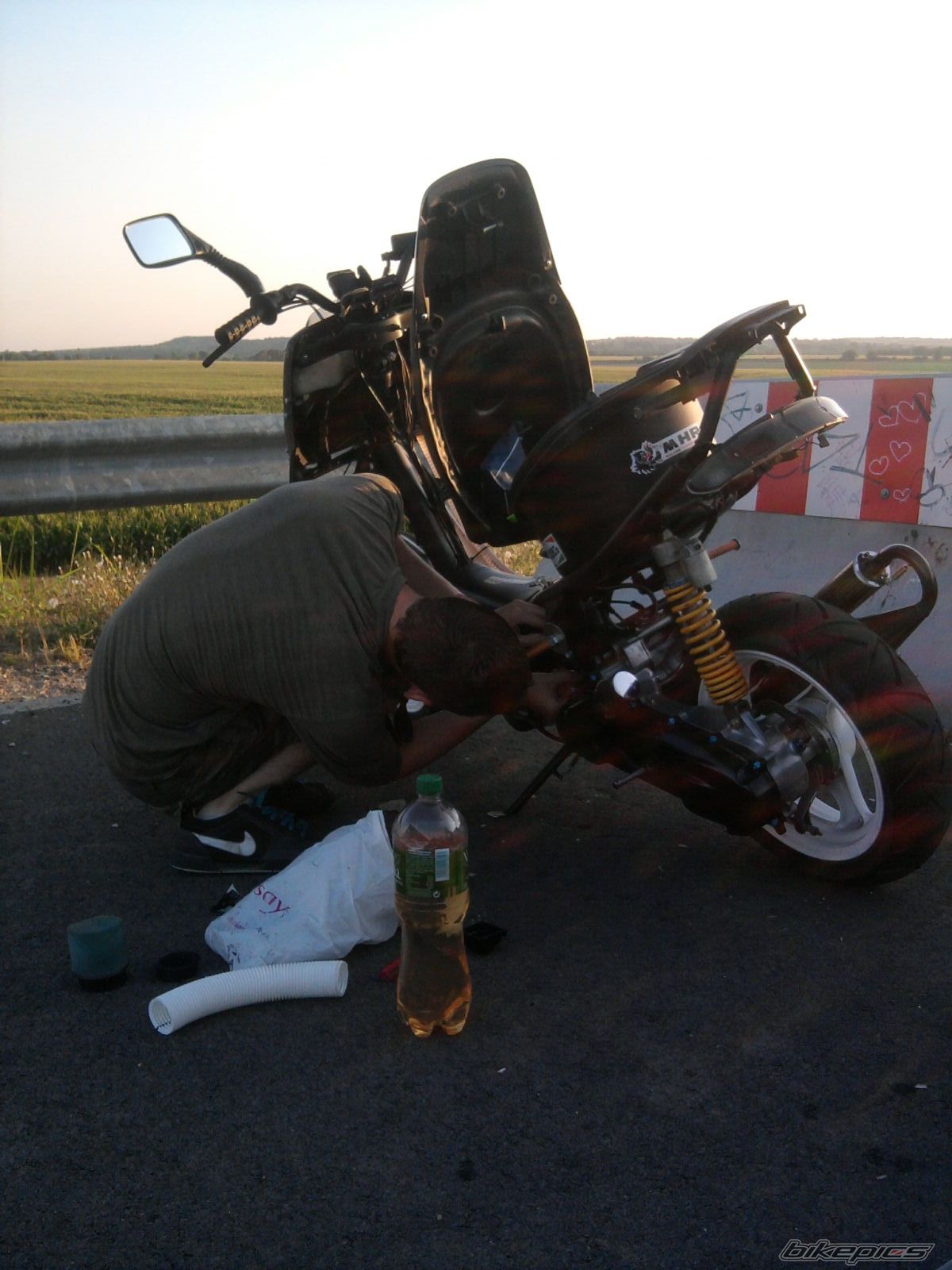 Photo 2457306
