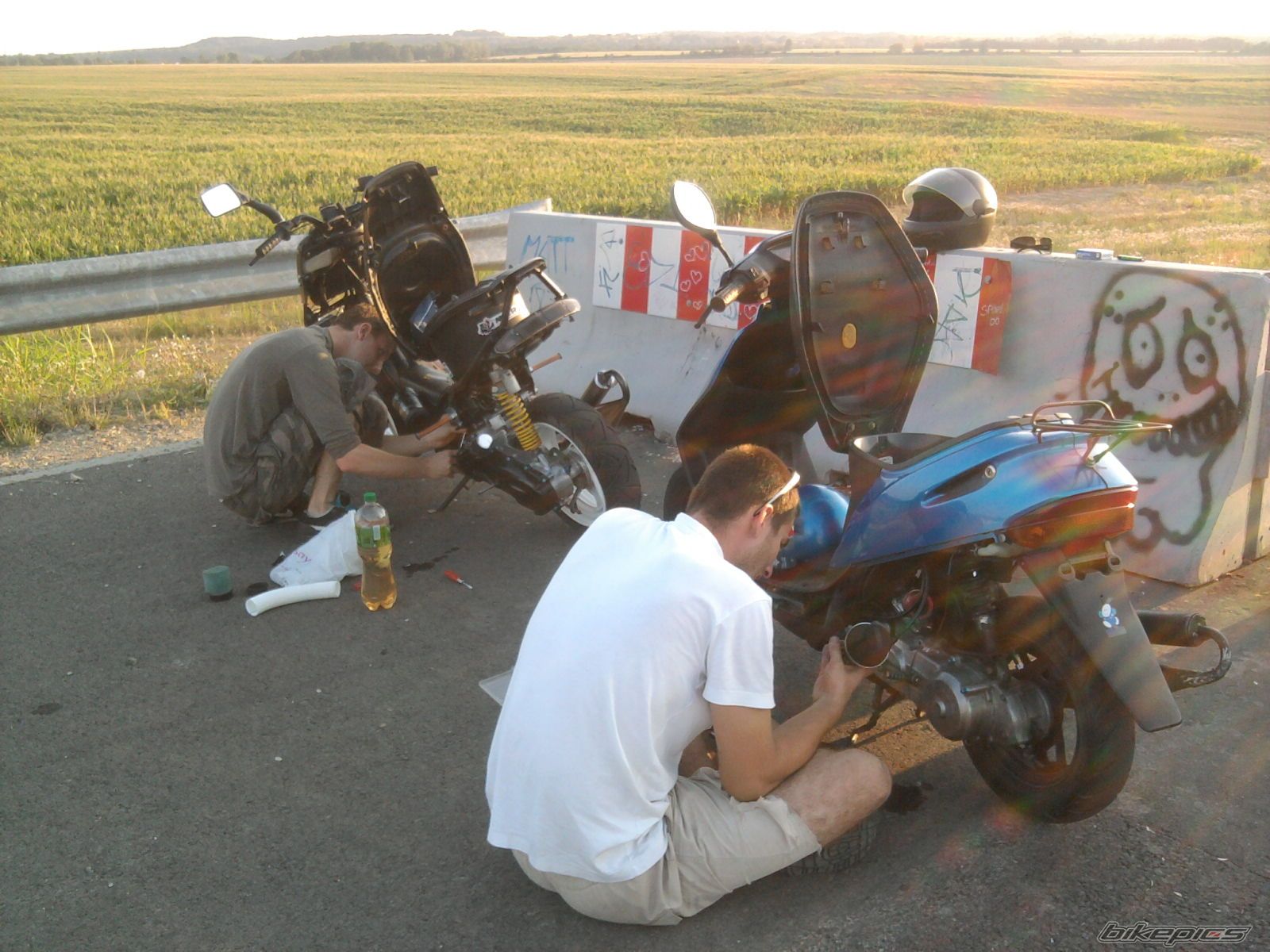 Photo 2457309
