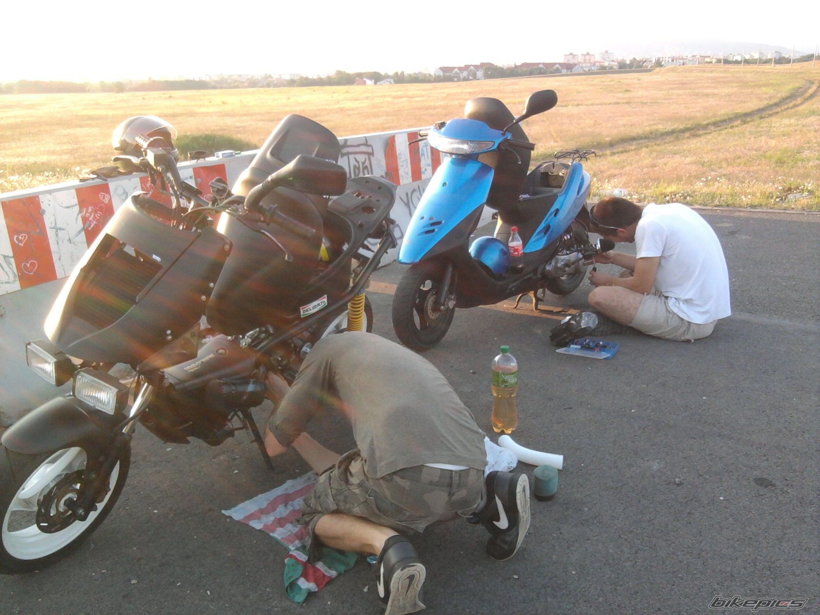 Photo 2457310