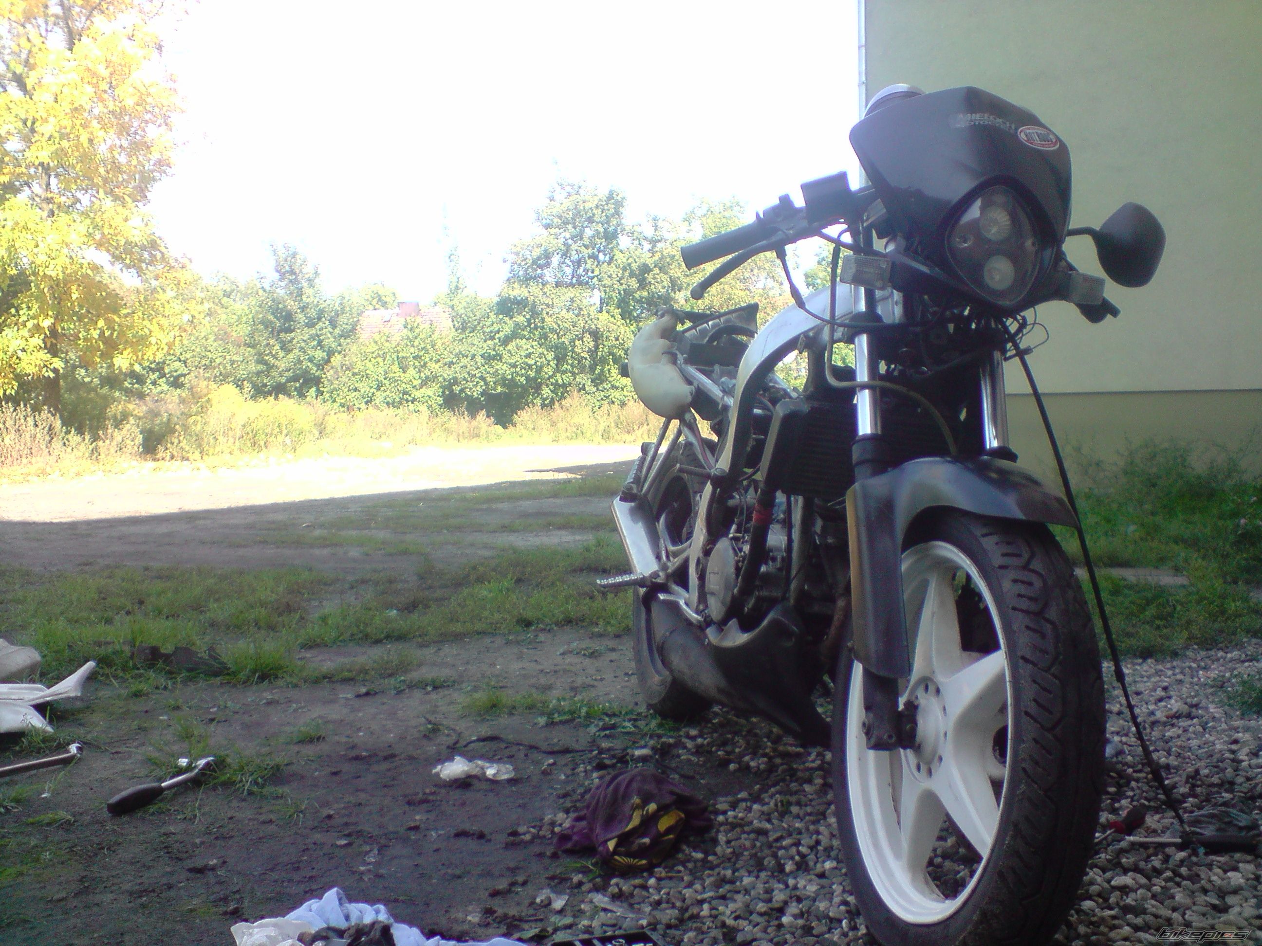 Photo 2457385