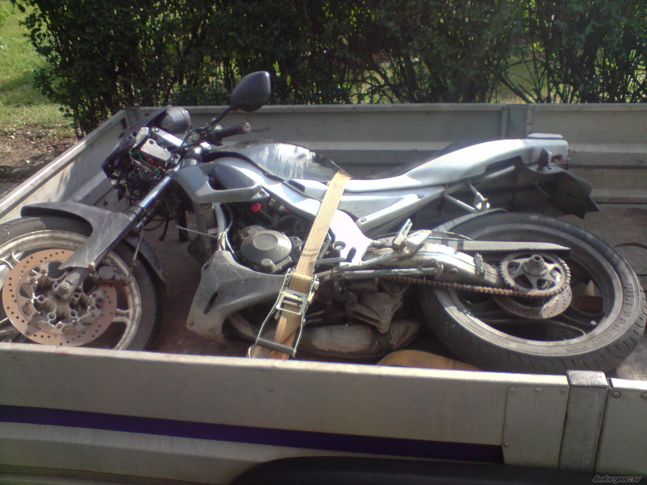Photo 2457386