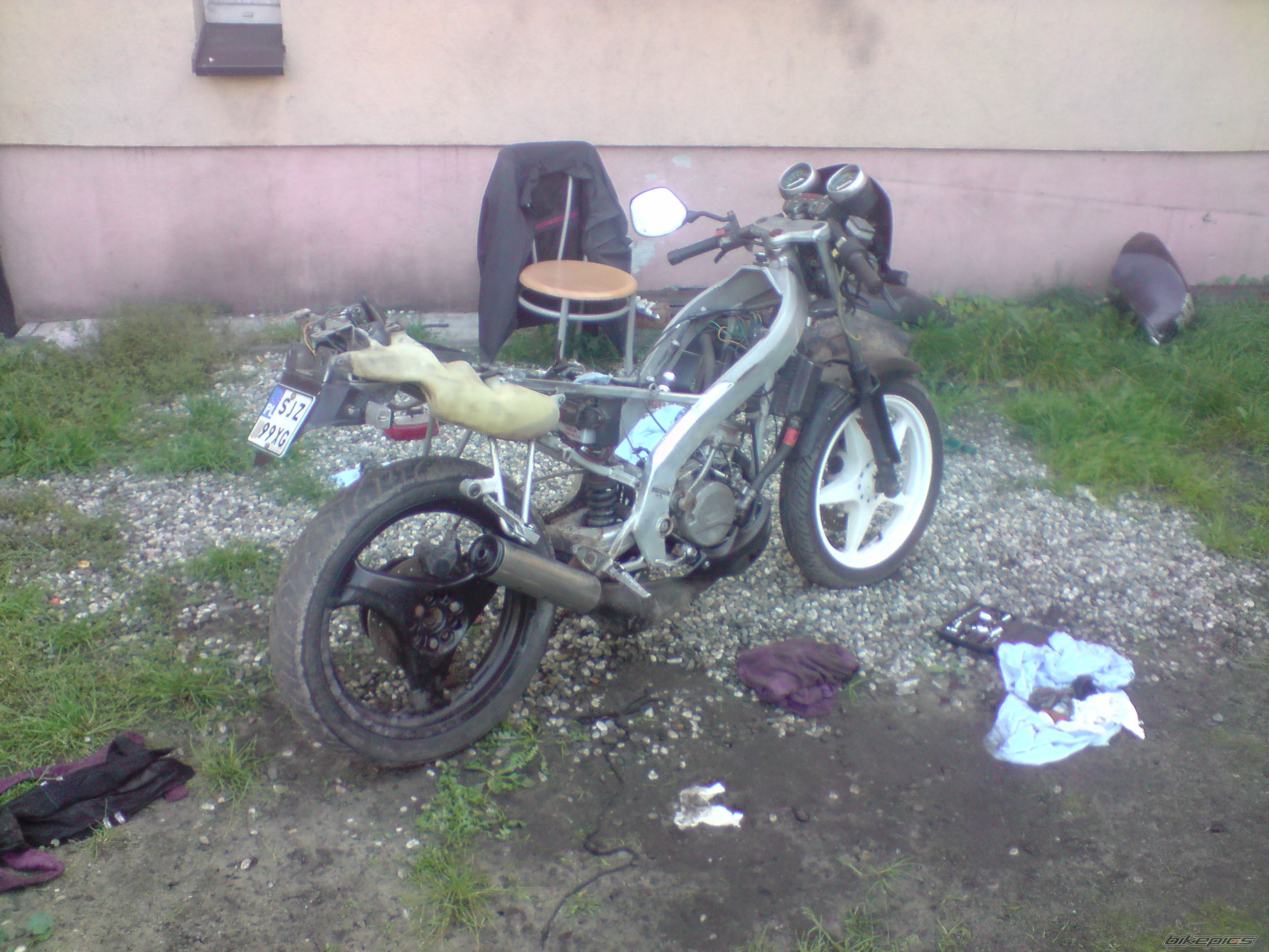Photo 2457391