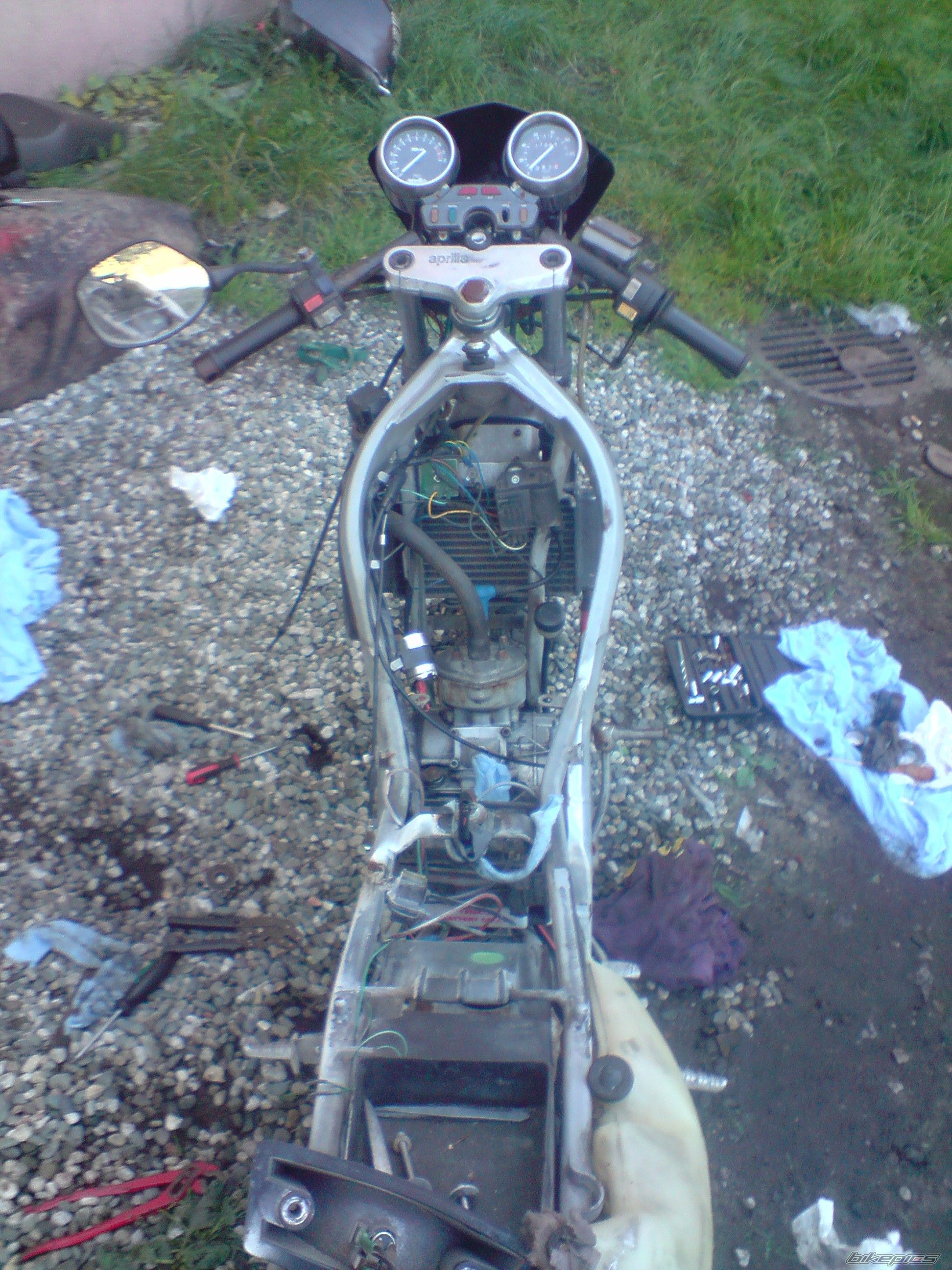 Photo 2457394