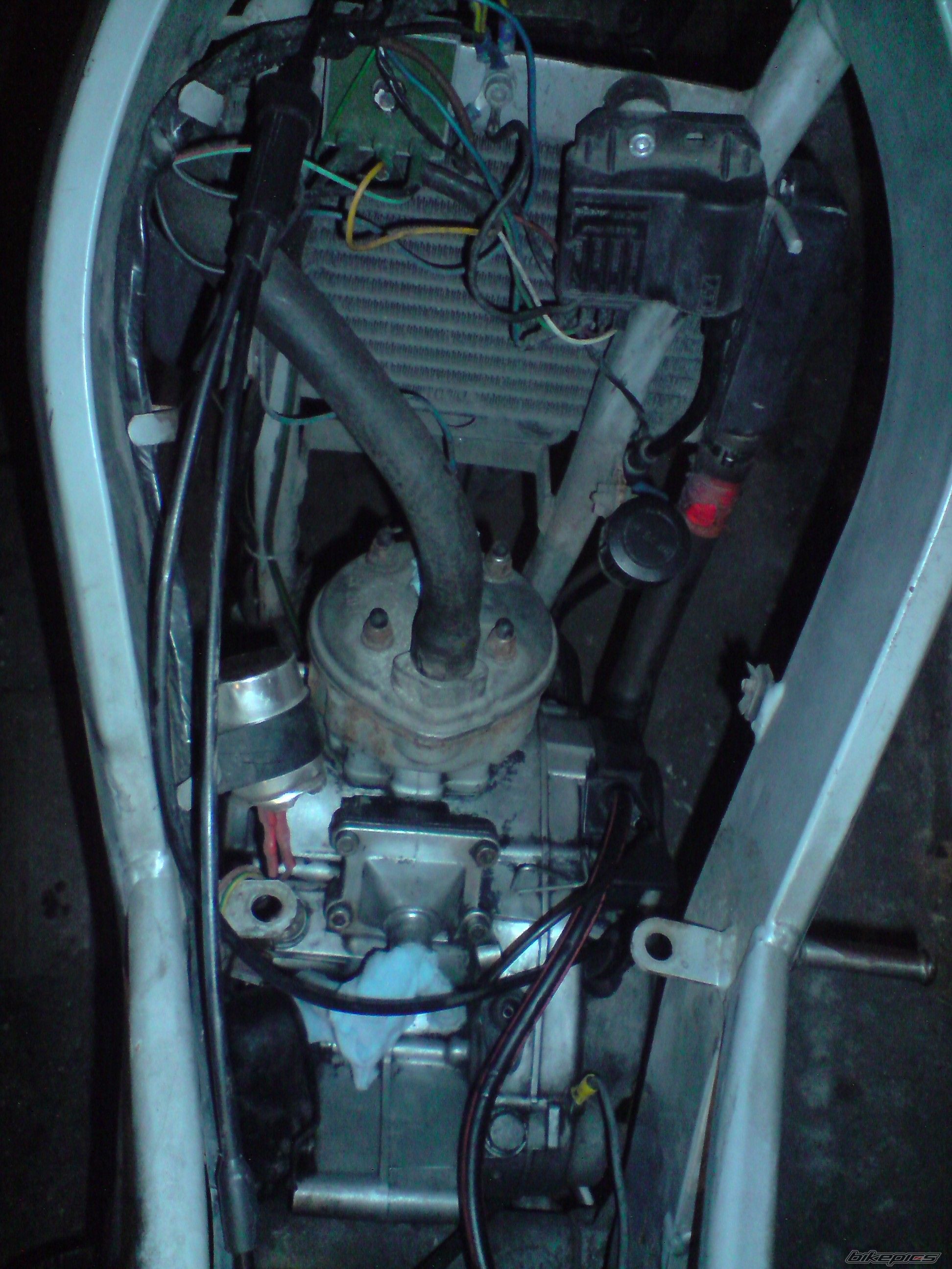 Photo 2457401