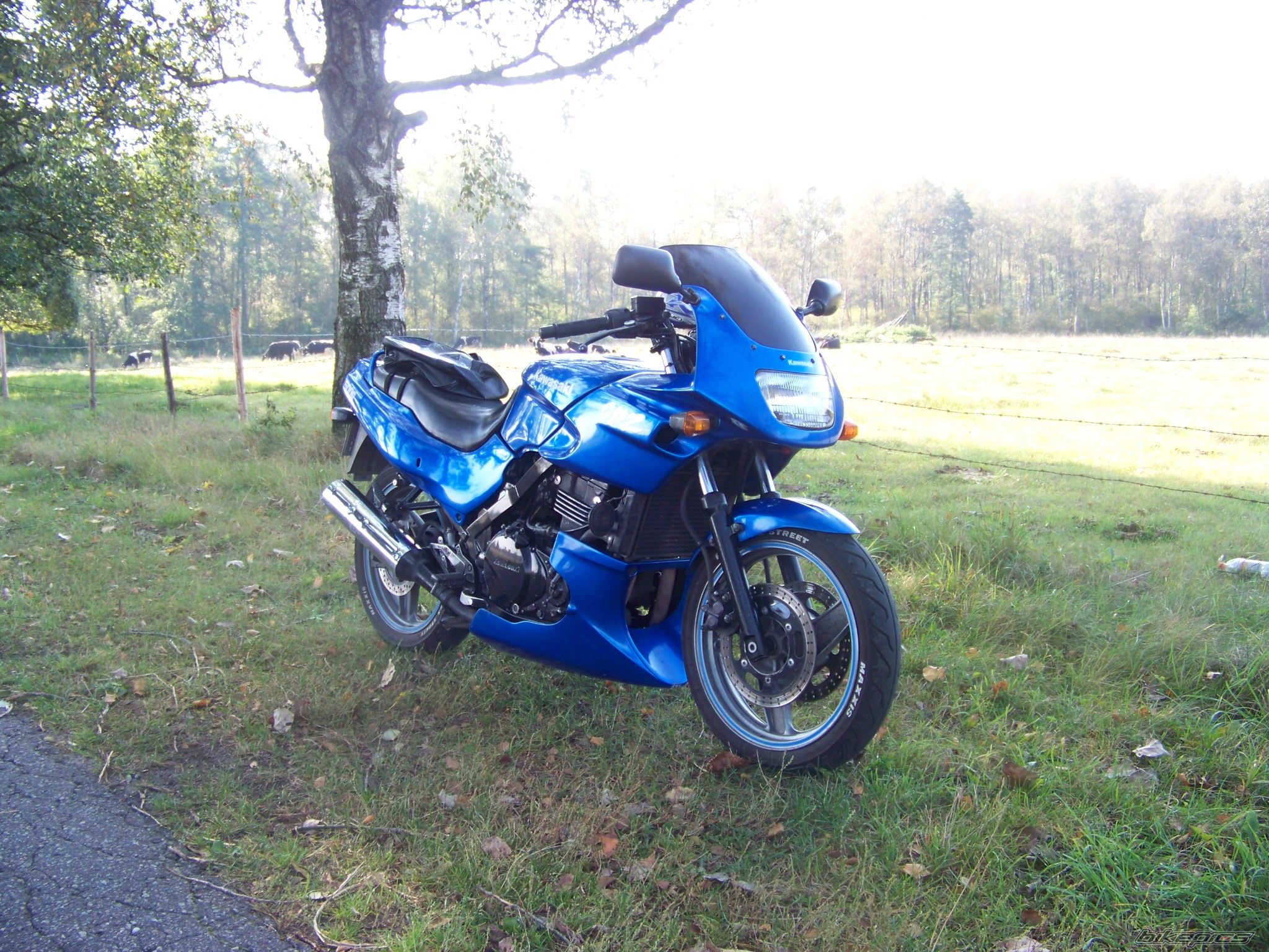 Photo 2457514